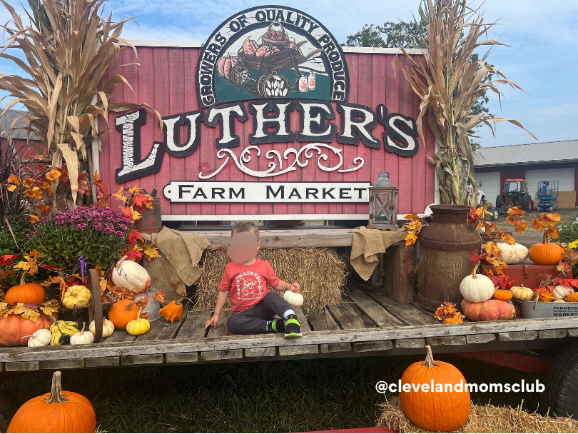 Child sitting on a wooden platform surrounded by pumpkins, gourds, and autumn decorations at a farm market called "Luther's Farm Market" with cornstalks on either side and a large pumpkin in front.