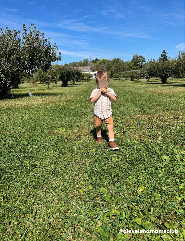 A young boy with a blurred face standing on a grassy field in an orchard on a sunny day, holding a yellow fruit in his hands.