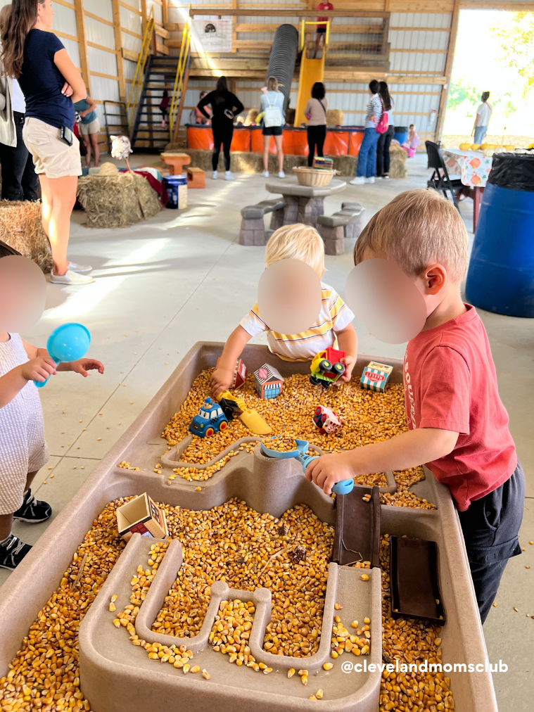 Children playing in a barn-like indoor play area with a corn sandbox. Some children are playing with toys and a boy is digging in the sandbox, while others watch or wait nearby. In the background, others are at an inflatable slide and play area.
