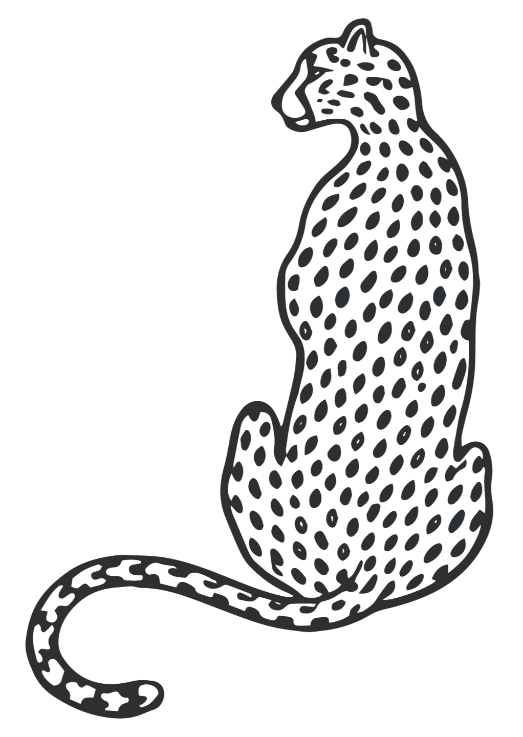 Branded cheetah illustration representing wild feminine power and transformation