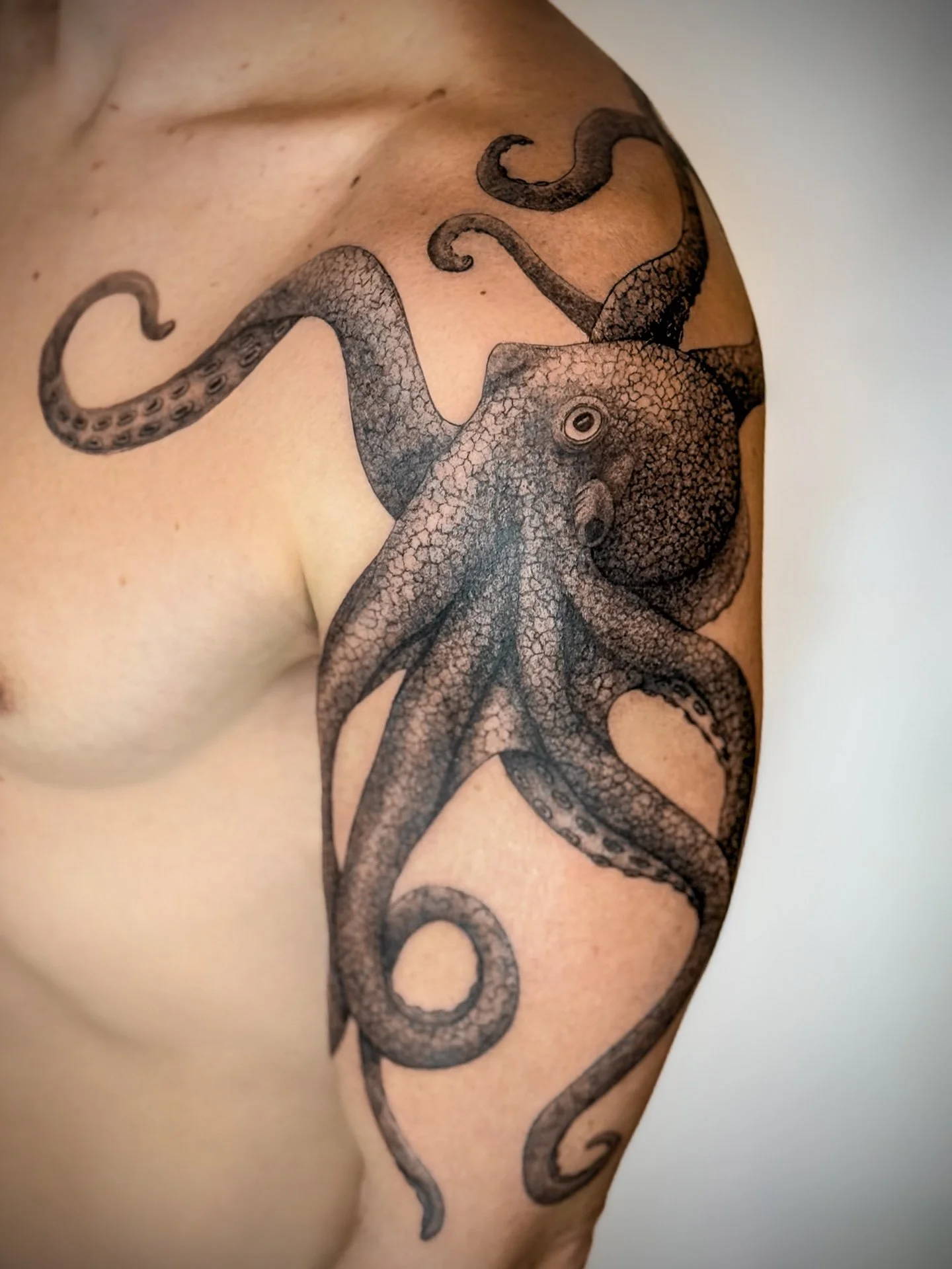 OCTOPUS TATTOO 