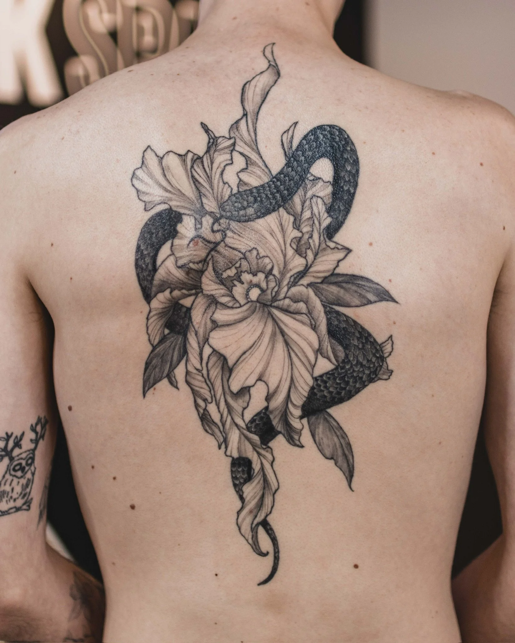 Black and gray fine-line tattoo of a snake intertwined with a large flower on a person's back and upper arm