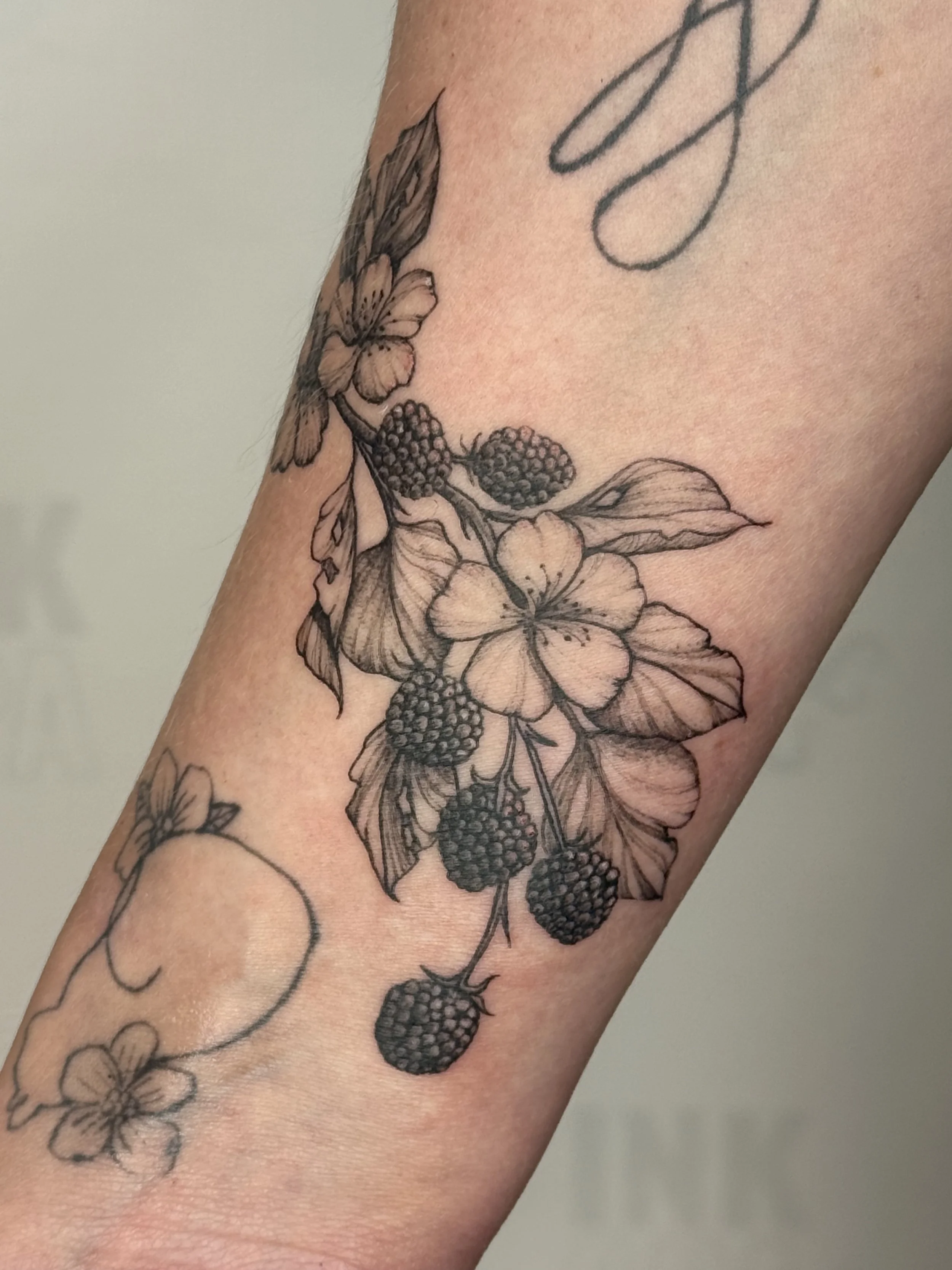 BERRIES TATTOO 