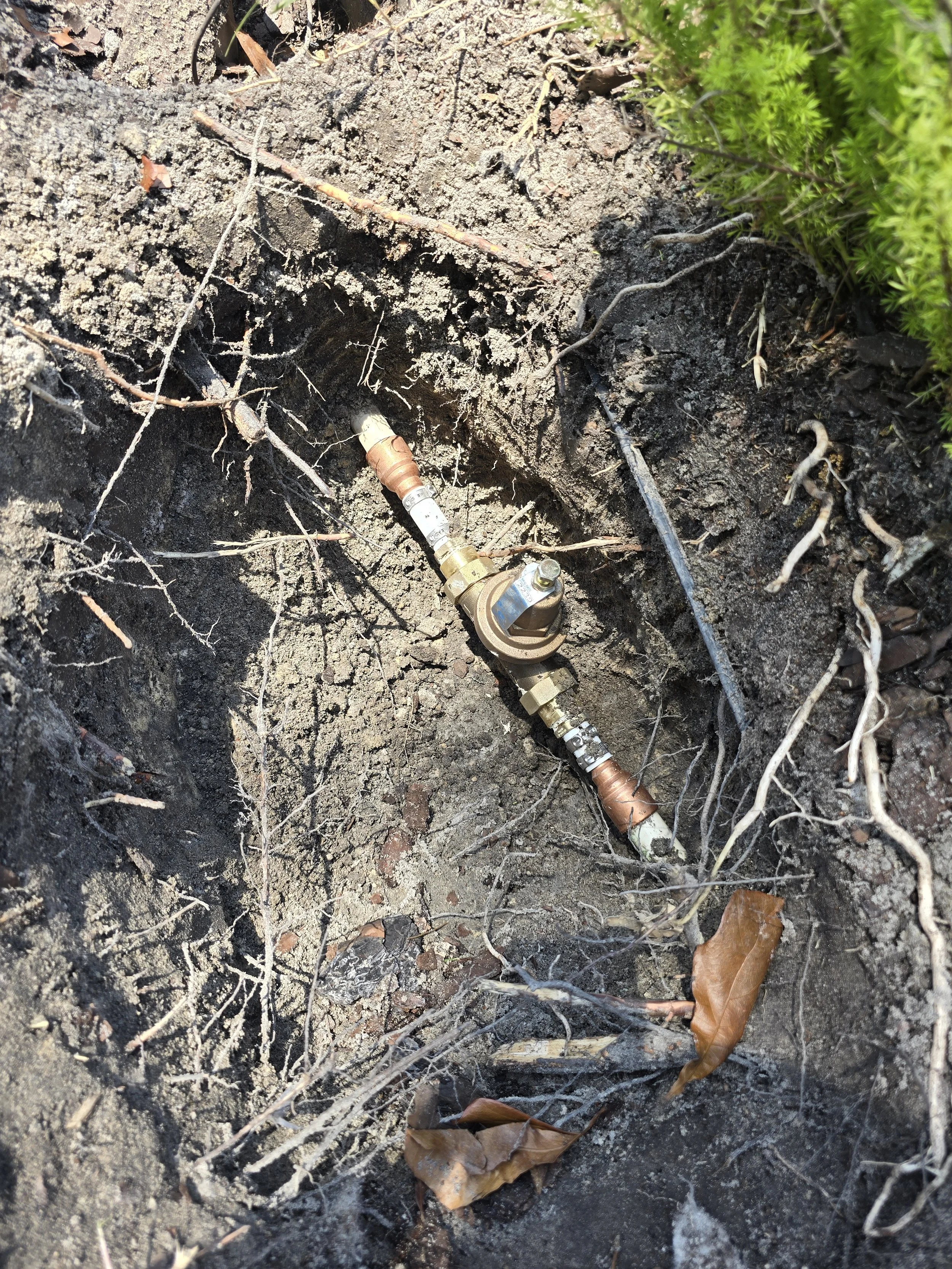 A close-up of a ground pipe connection in soil, with branches, leaves, and moss nearby.