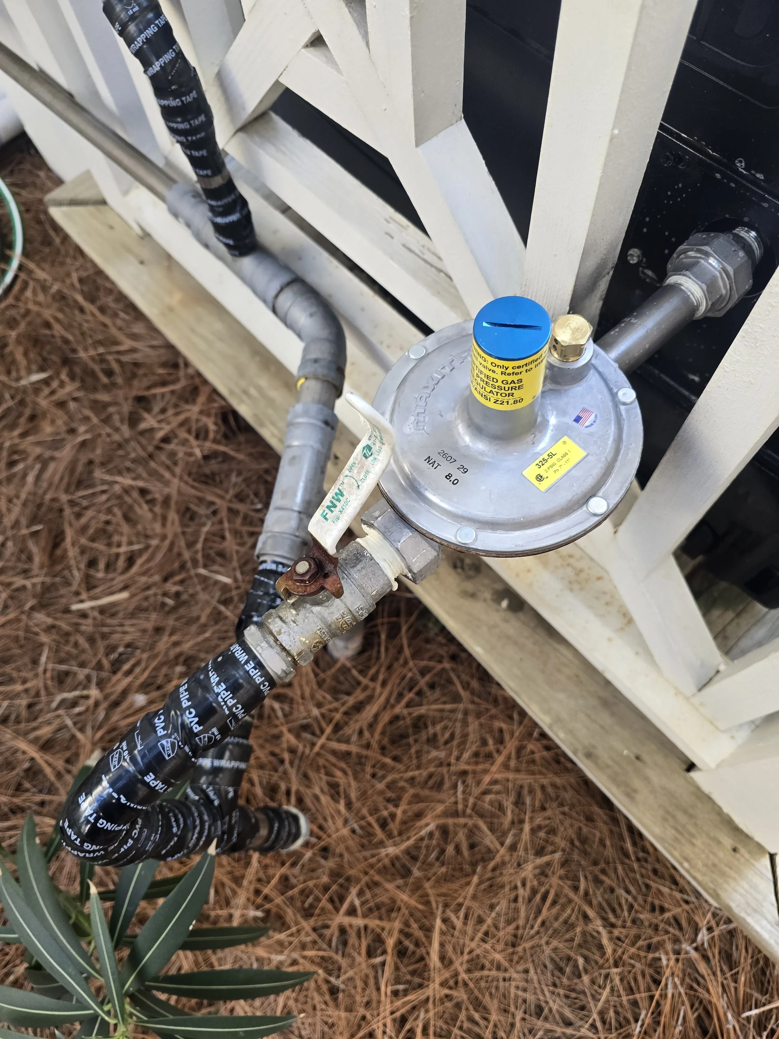 Outdoor gas regulator connected to a gas pipe, with black piping and a white wooden frame, on a bed of pine needles, and a green plant with long, narrow leaves in the foreground.