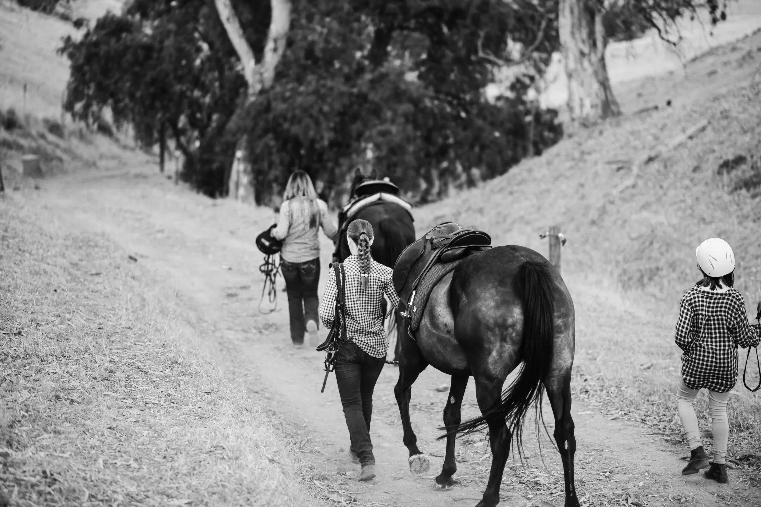 Two children and two adults walking alongside trail riding horses in the Adelaide Hills, South Australia.