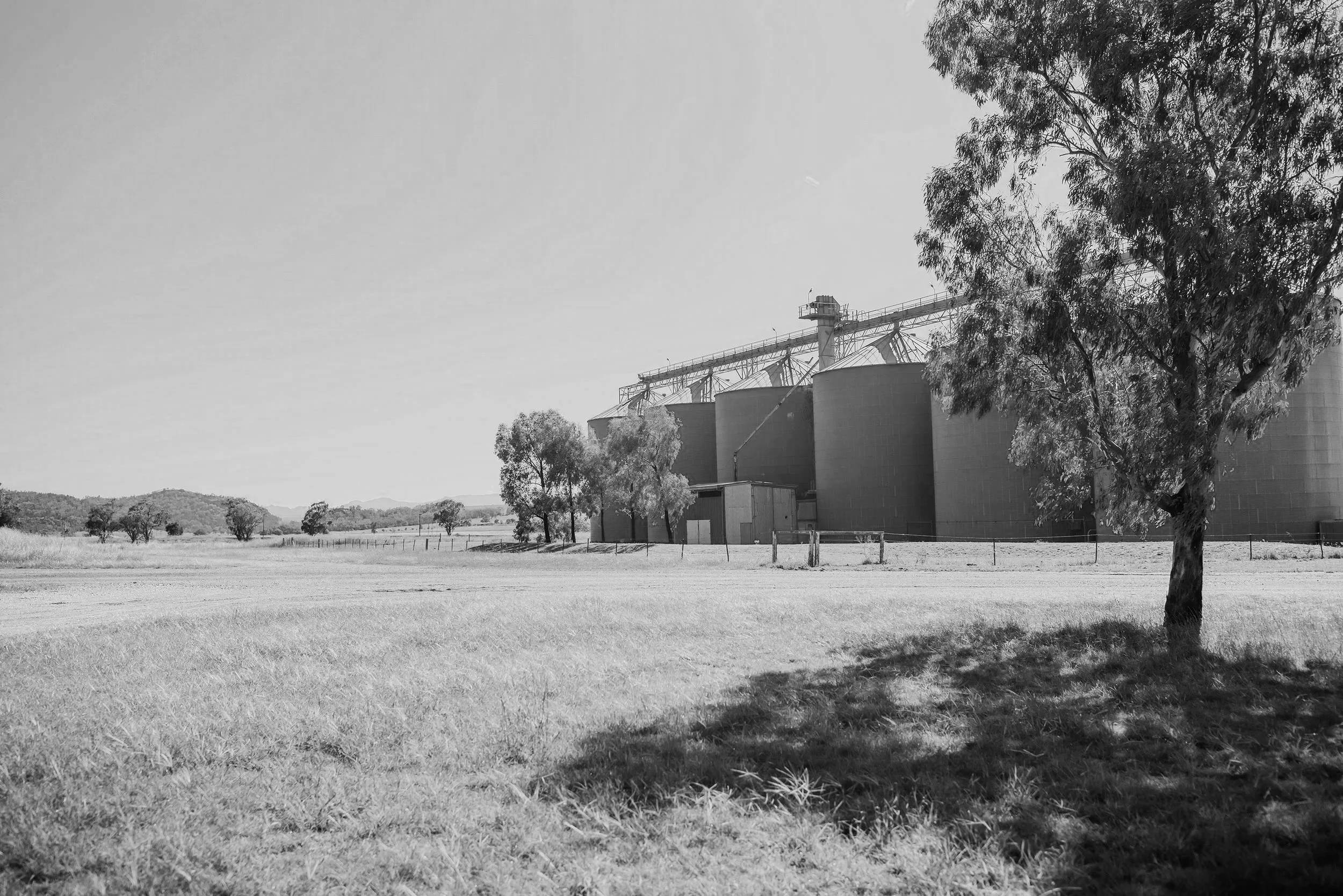 Grain silos near Boggabri, regional New South Wales