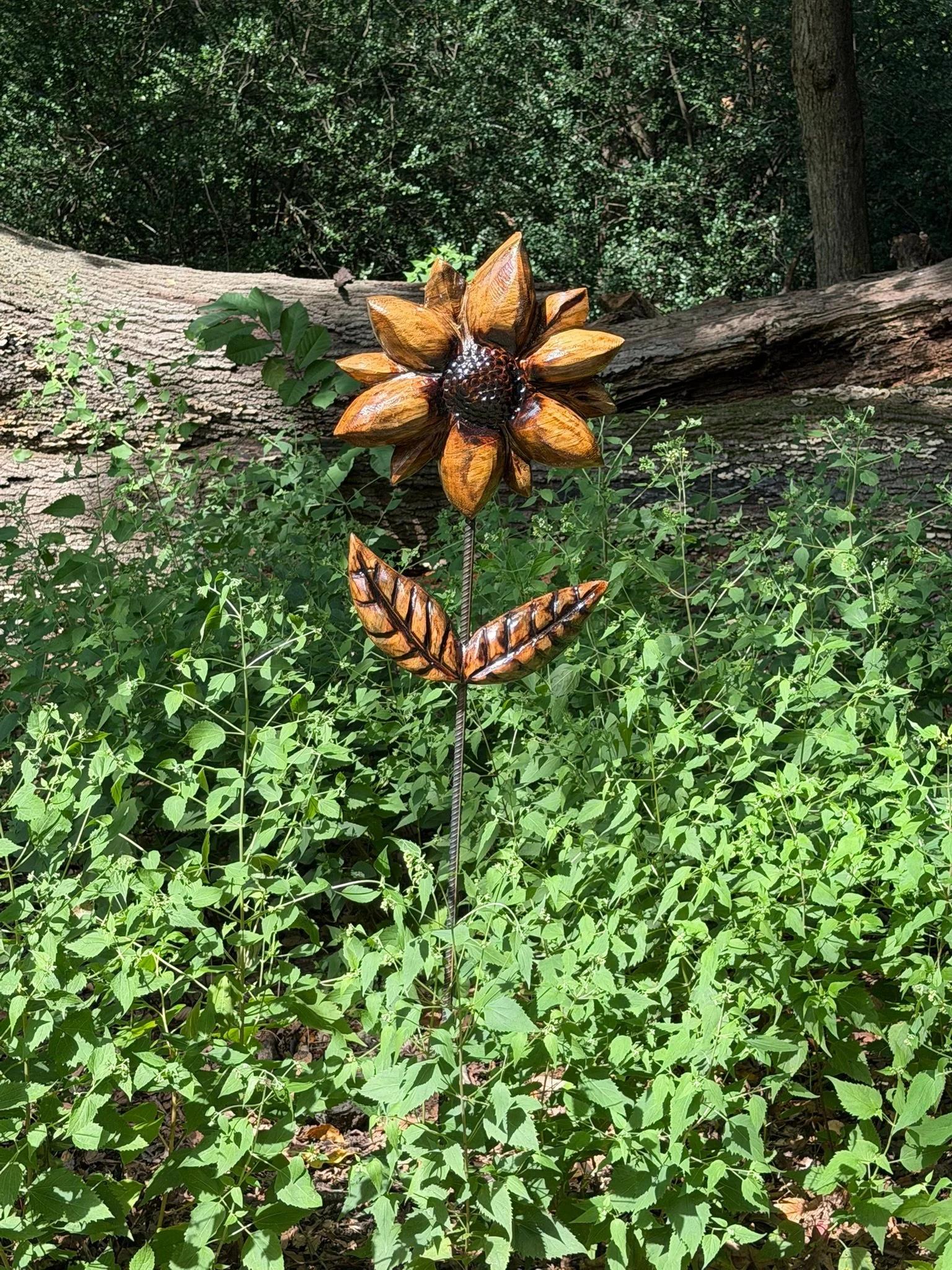 Sunflower 2.jpg