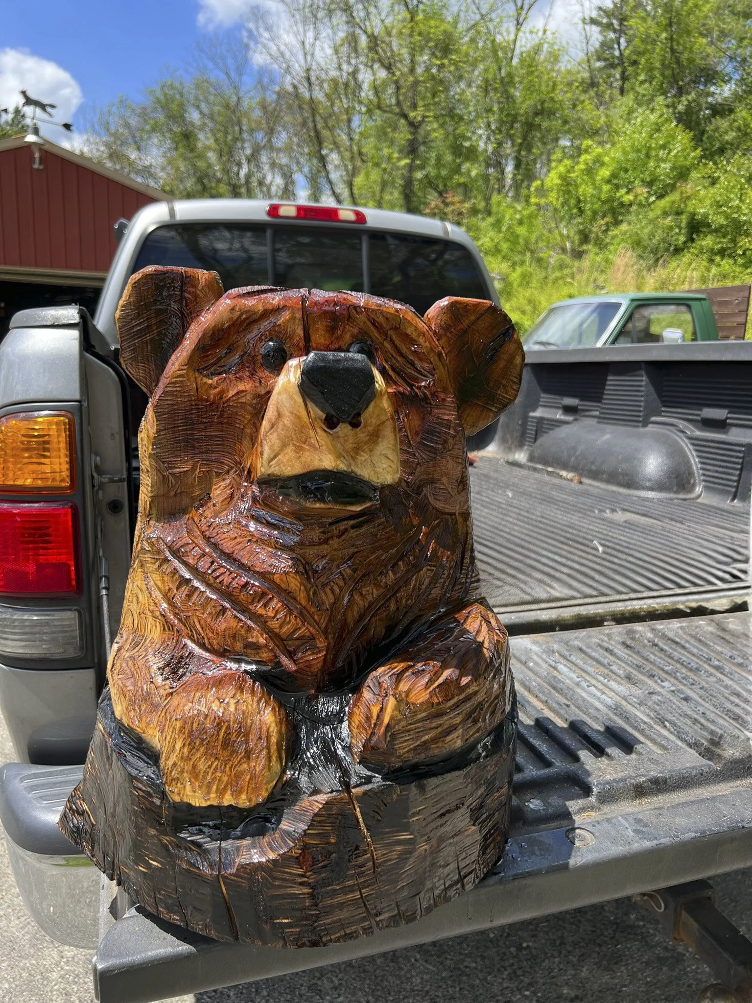 Bear in Log