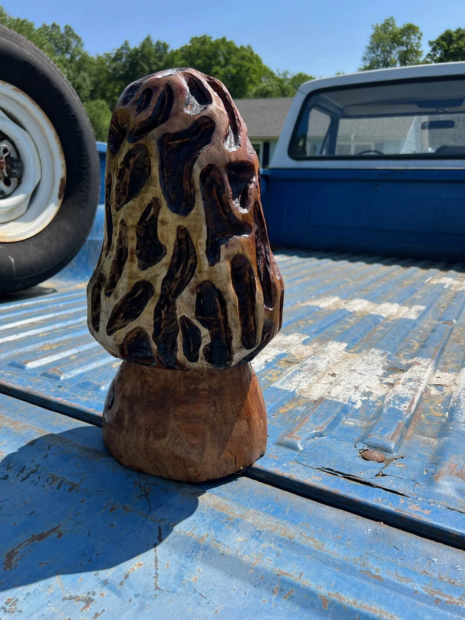 Morel Mushroom 1.jpg