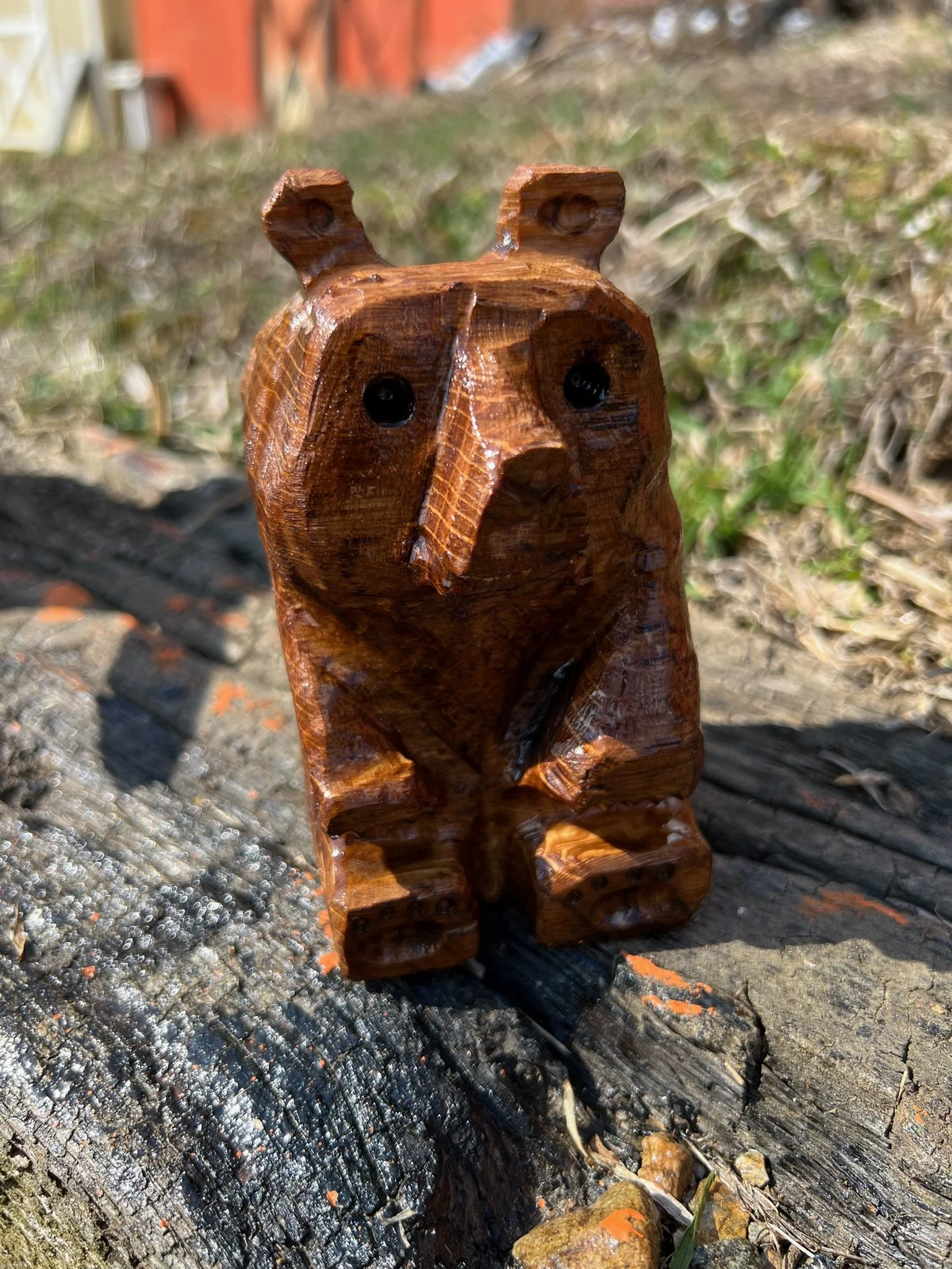 Little Bear 2.jpg