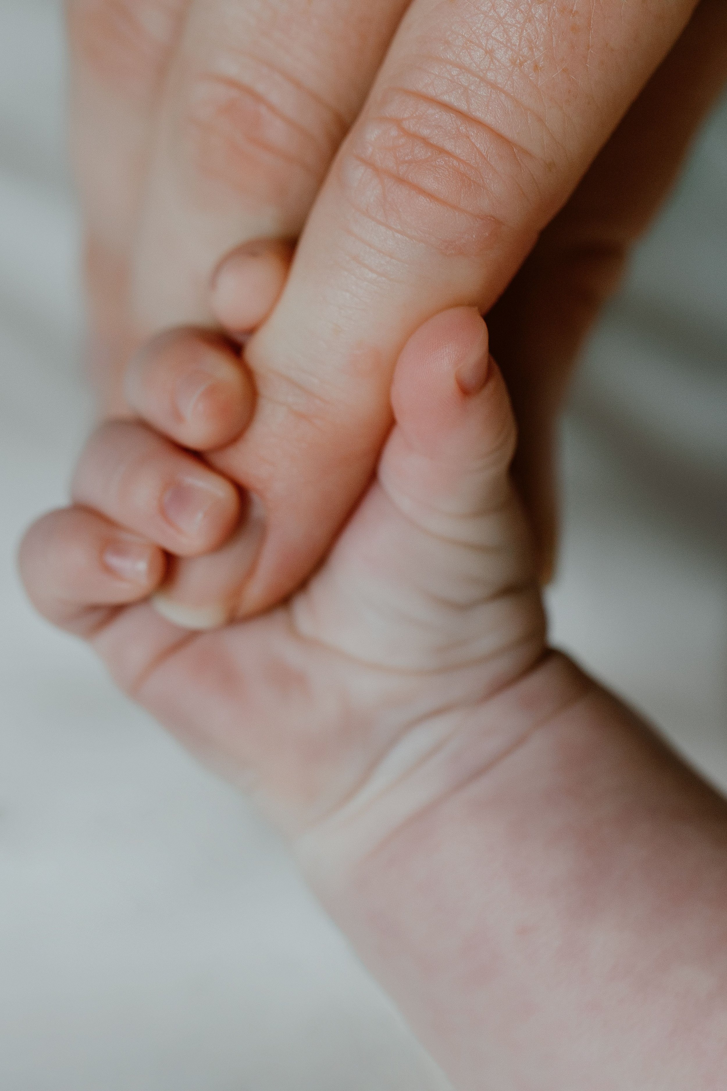Close-up of a person holding a baby's hand with the baby's fingers gripping the person's finger.