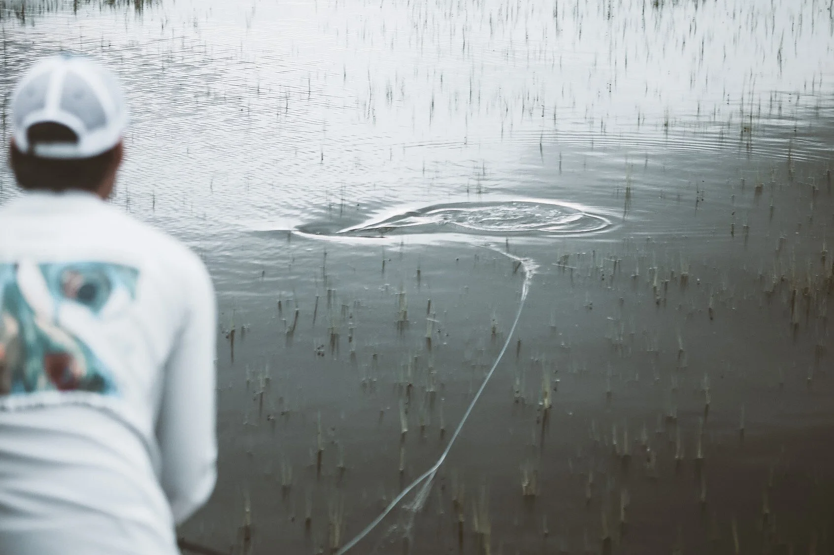 A person wearing a white cap and a white shirt with a bucket hat pattern is standing at the edge of a body of water, fishing with a fishing line cast into the water. The water appears calm with some reeds or grass protruding from it, and a fish is ca