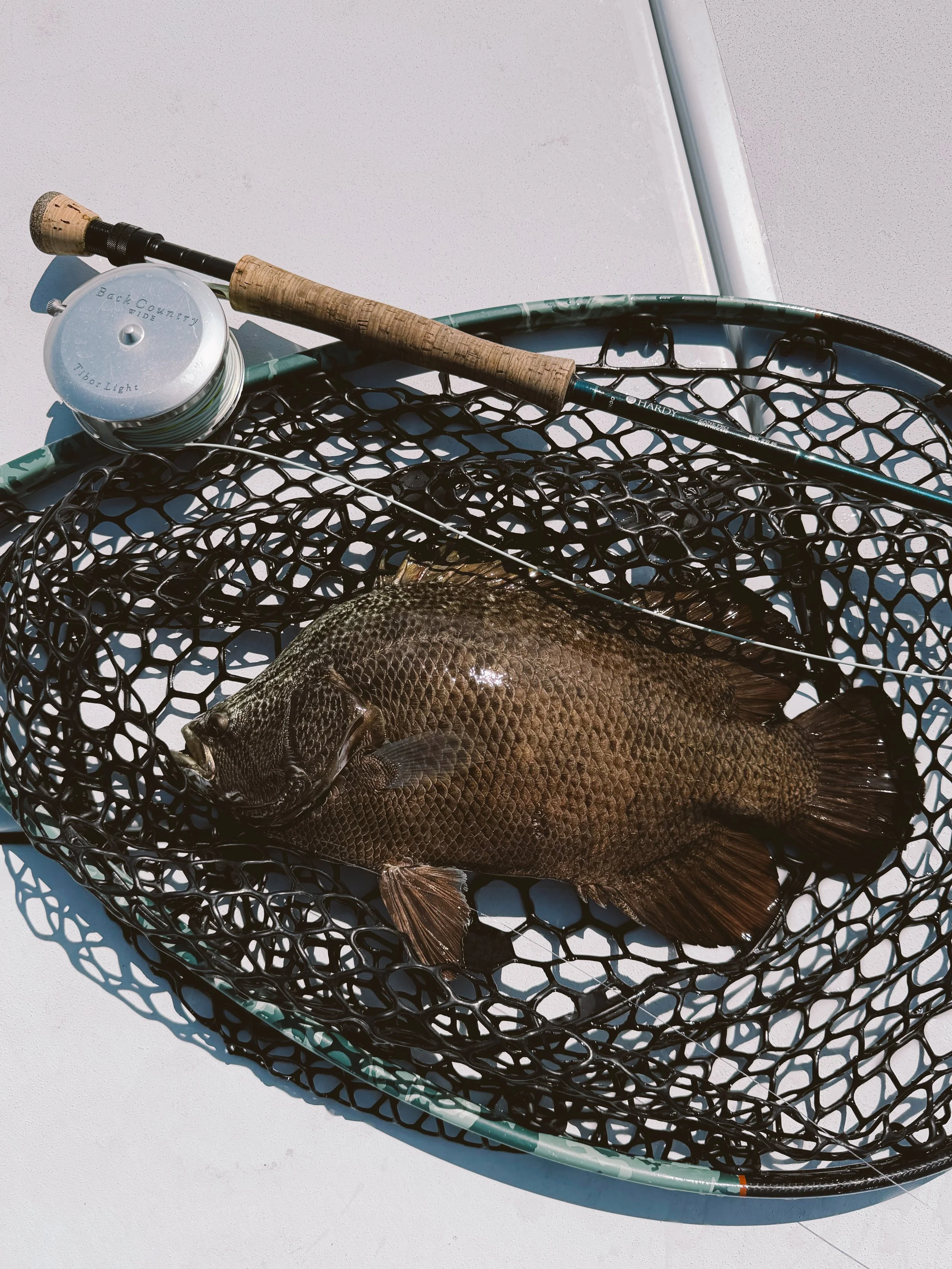 A fish caught in a black fishing net with a fishing rod and reel resting on the net, set on a white surface outside in sunlight.