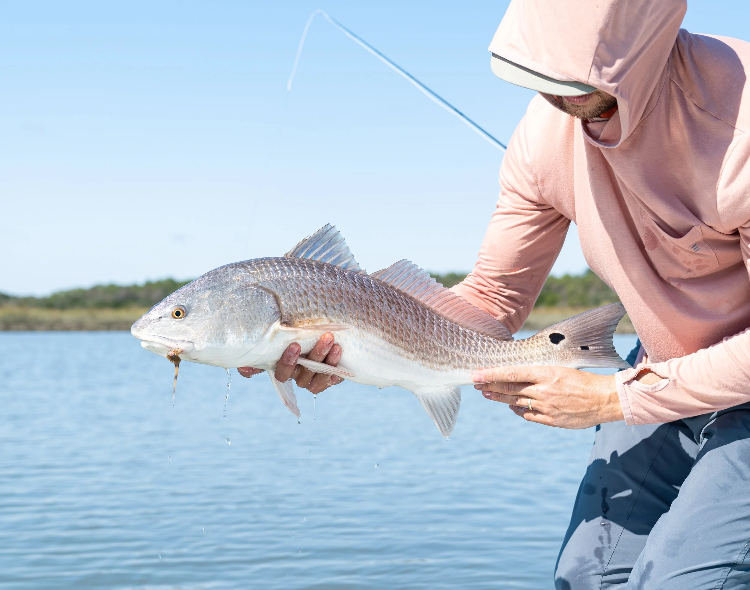 Person holding a large fish over a body of water on a sunny day.