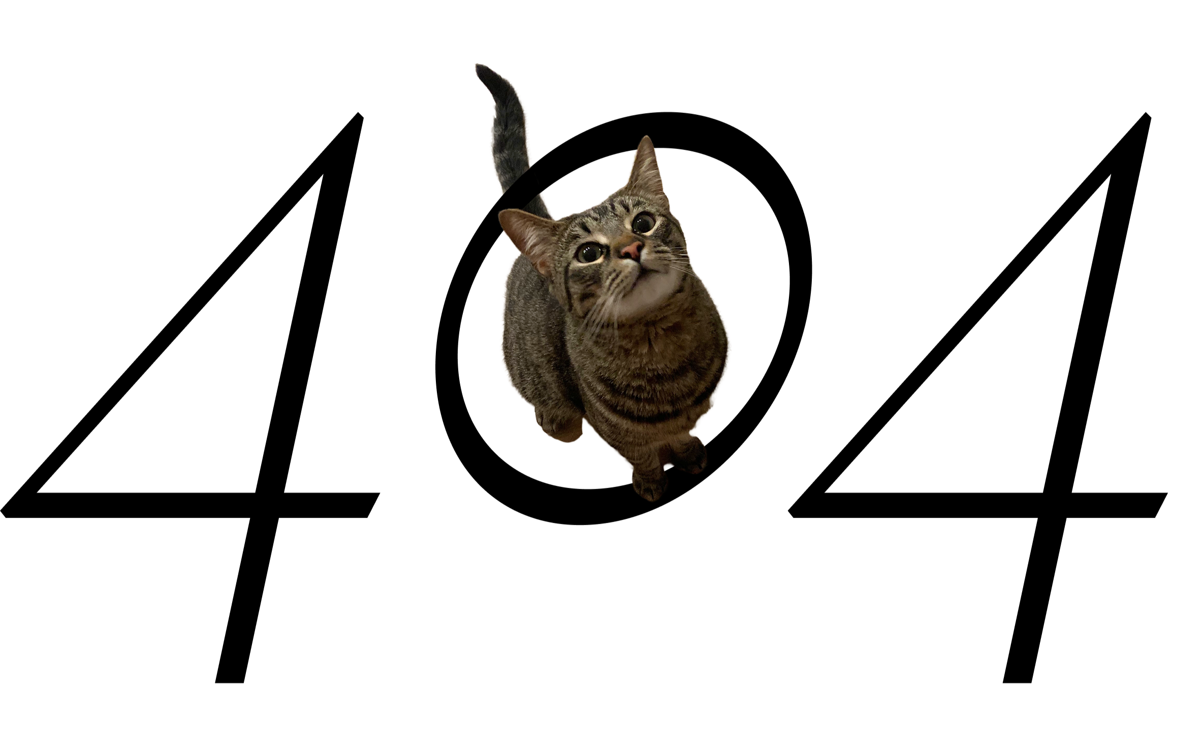 A tabby cat looking up with big, curious eyes, standing on a black background.