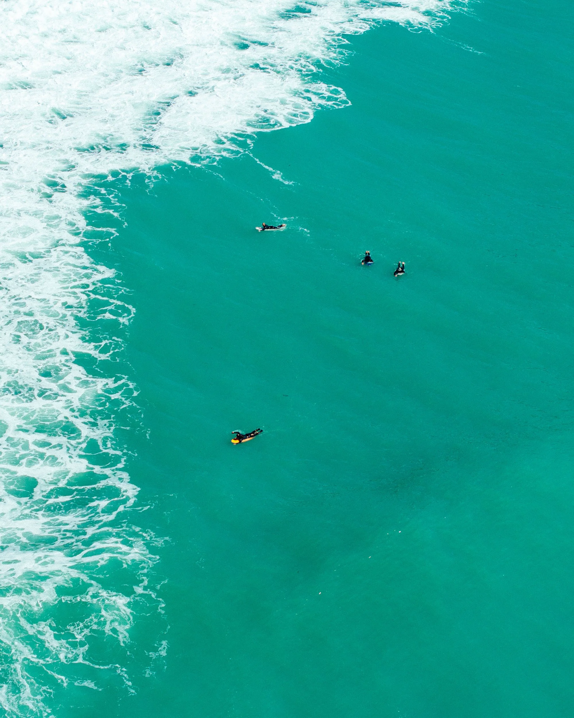 GIBBINS_DJI-Kaikoura Coast-241024-78.jpg