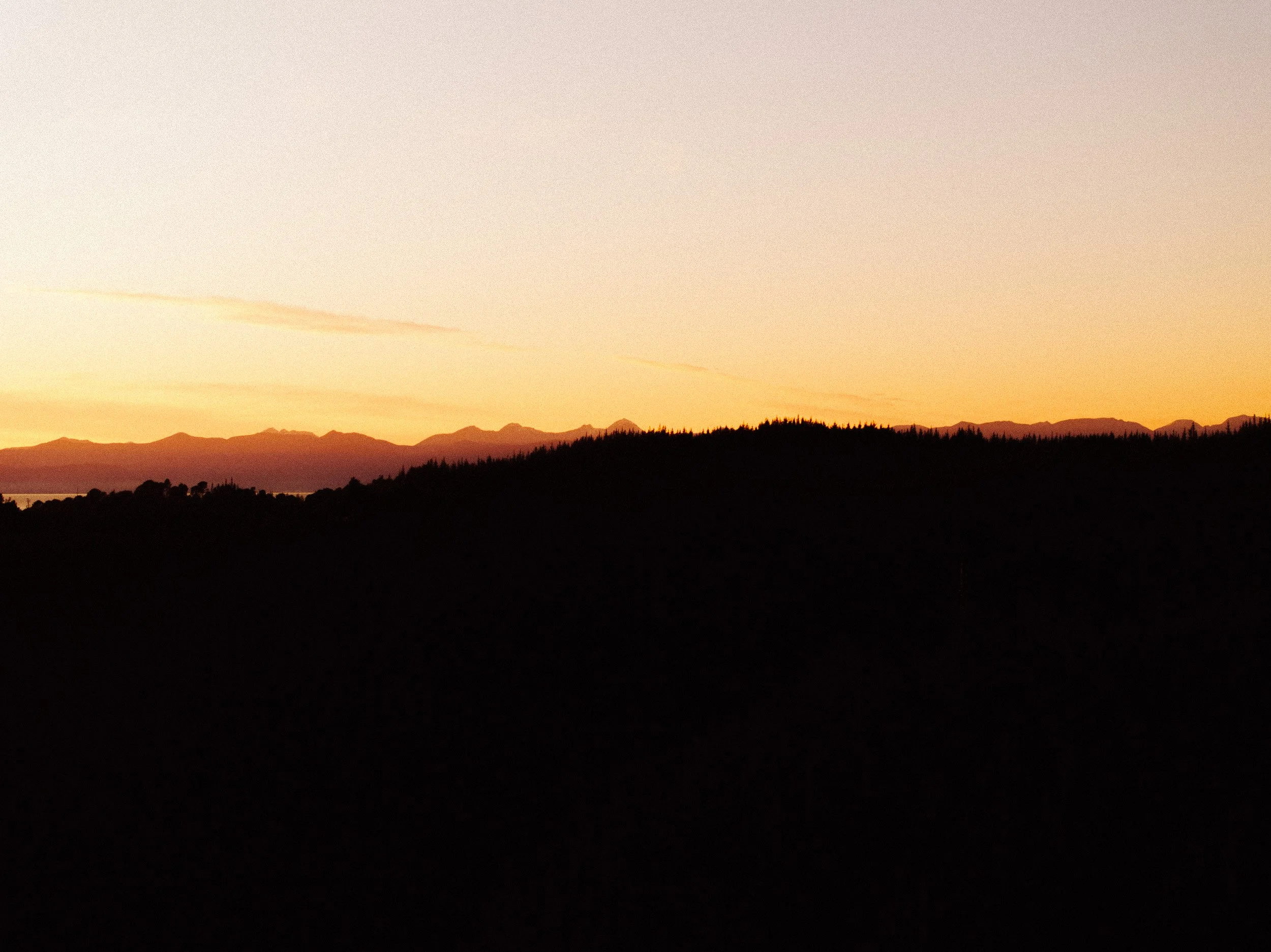 GIBBINS_DJI_Marahau_151024-45.jpg