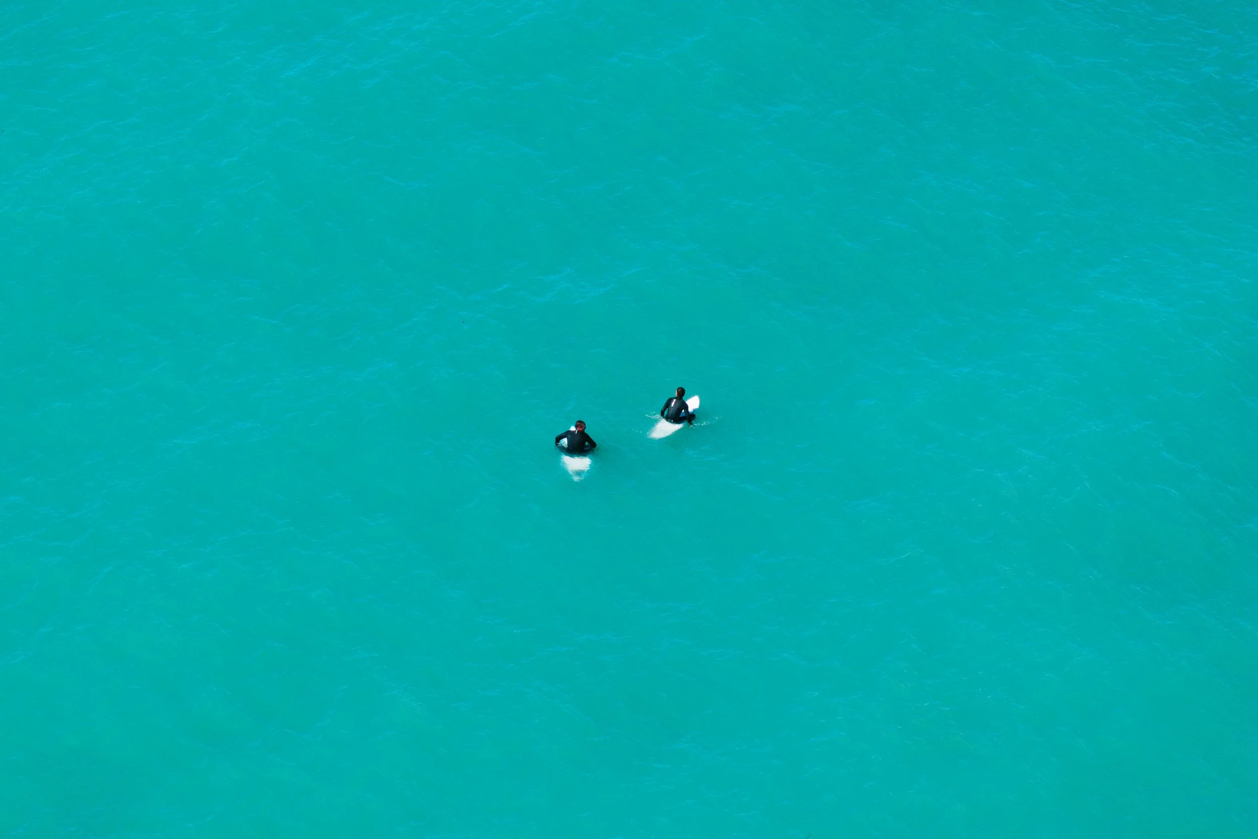 GIBBINS_DJI-Kaikoura Coast-241024-137.jpg
