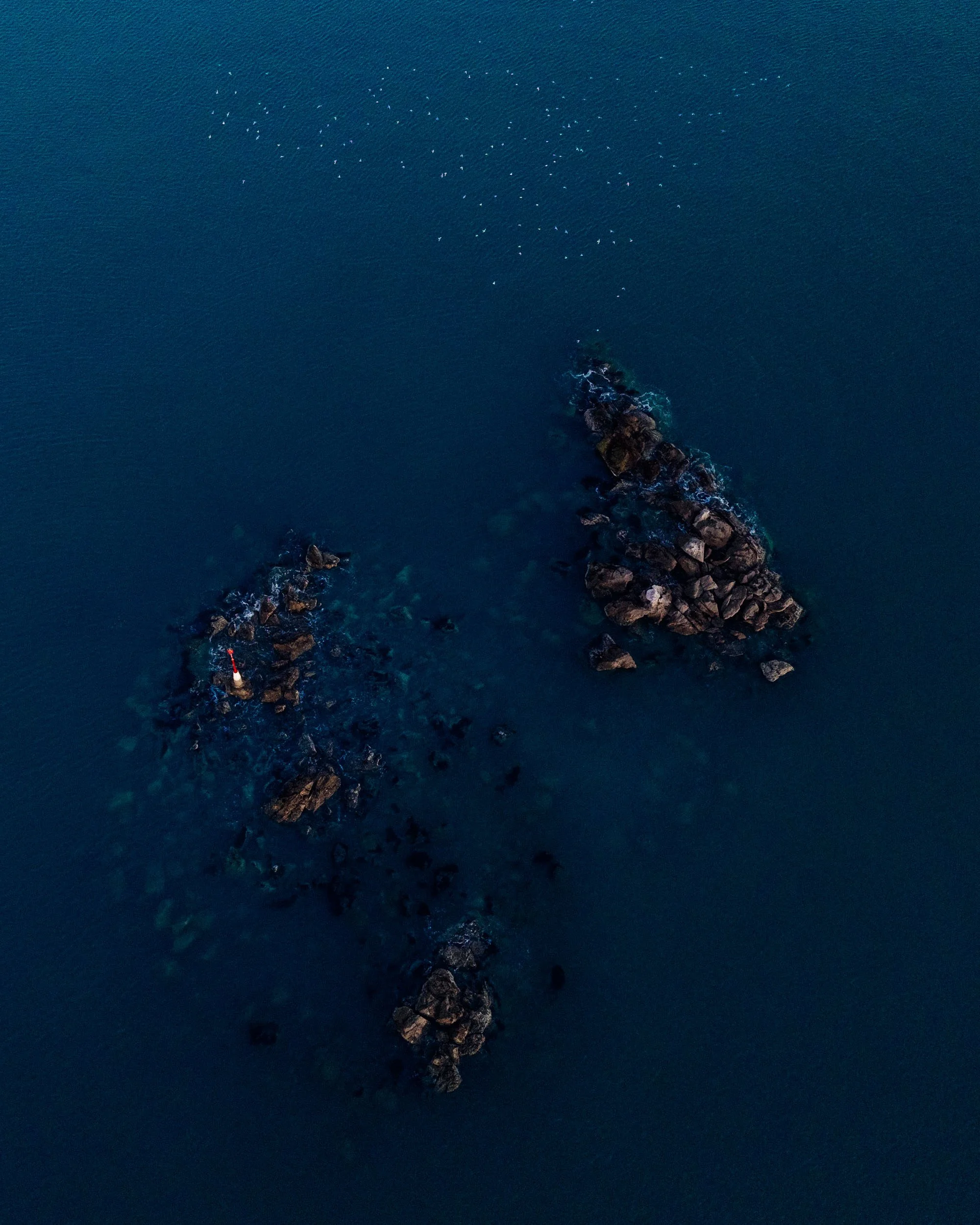 GIBBINS_DJI_Motueka_091024-84.jpg