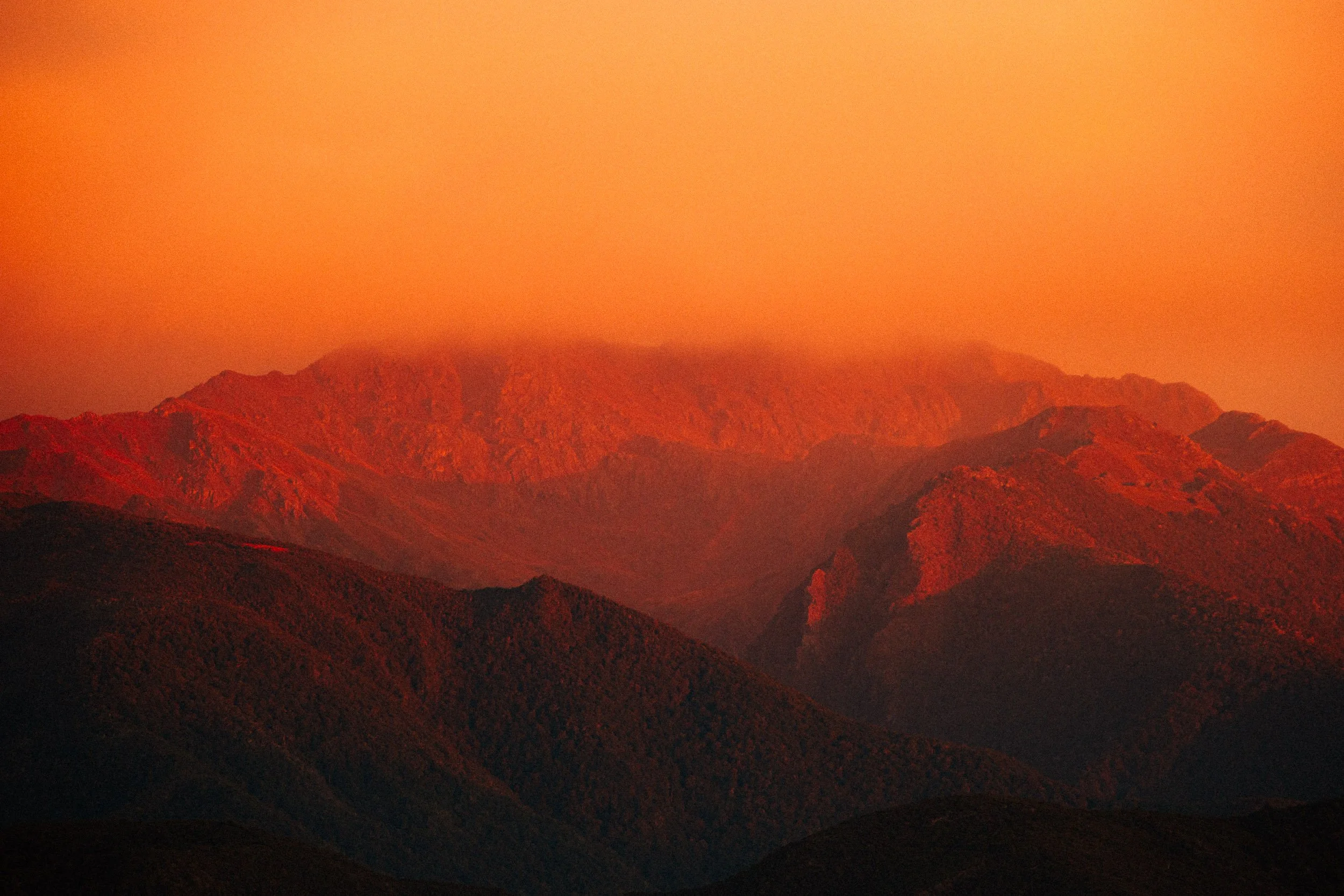 GIBBINS__RG_4488.jpg