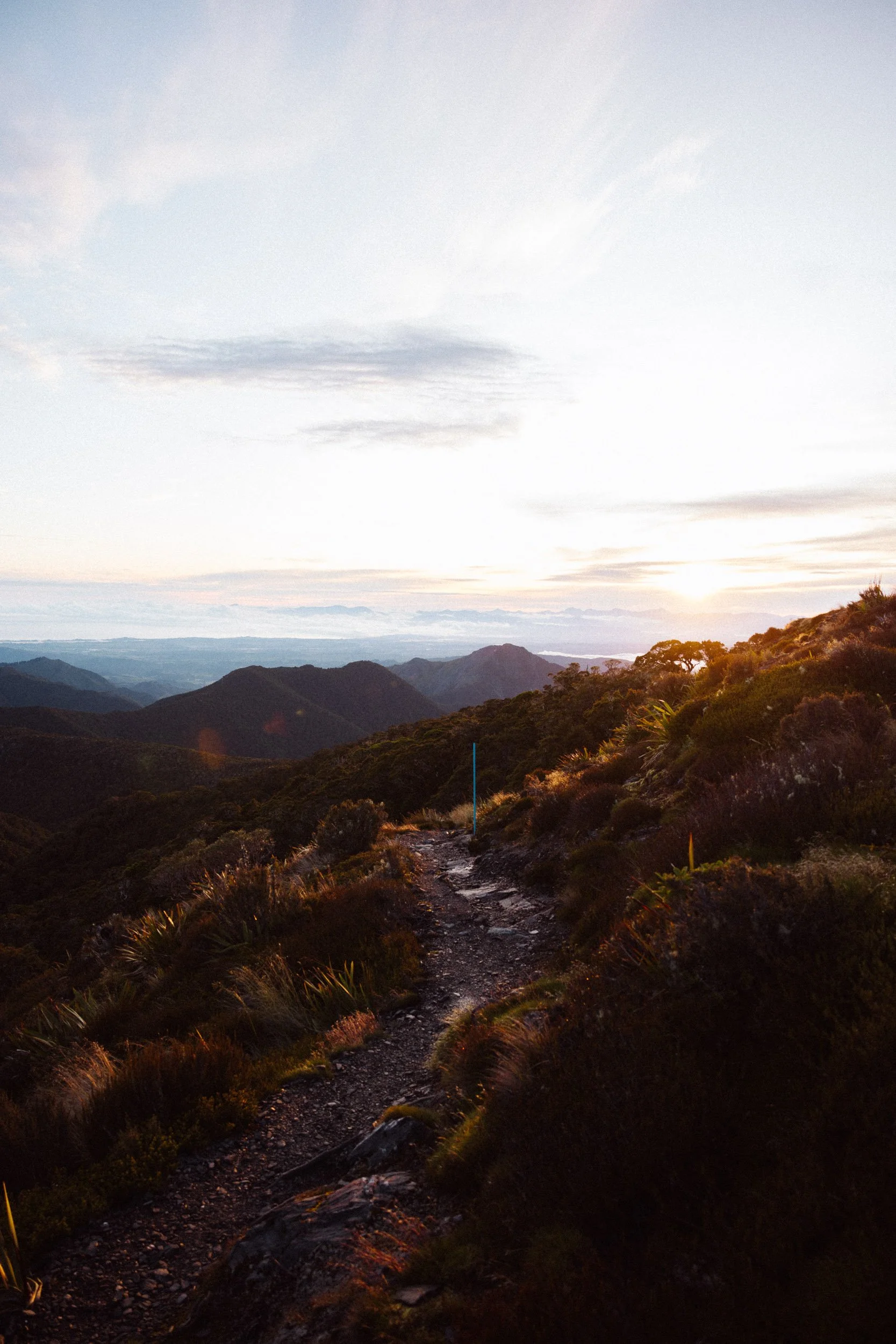 GIBBINS_RG_Mount Arthur_R5_23.12.22_563.jpg