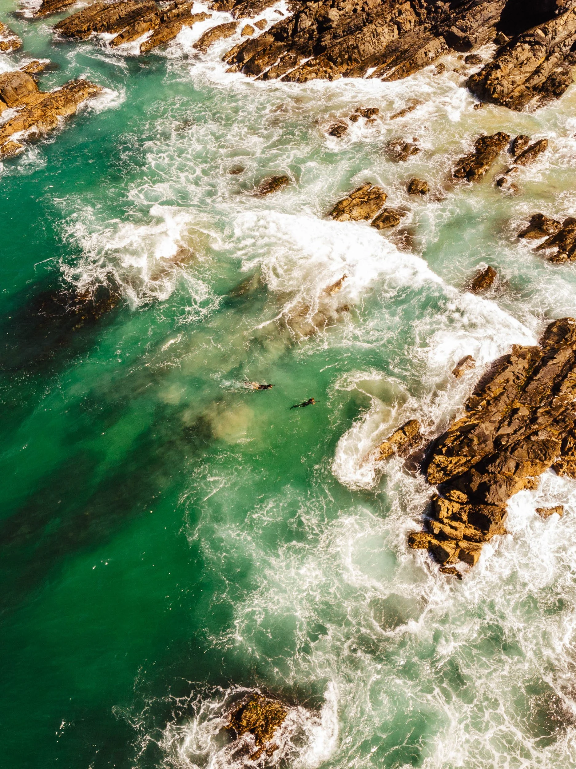 GIBBINS_DJI_0252.jpg
