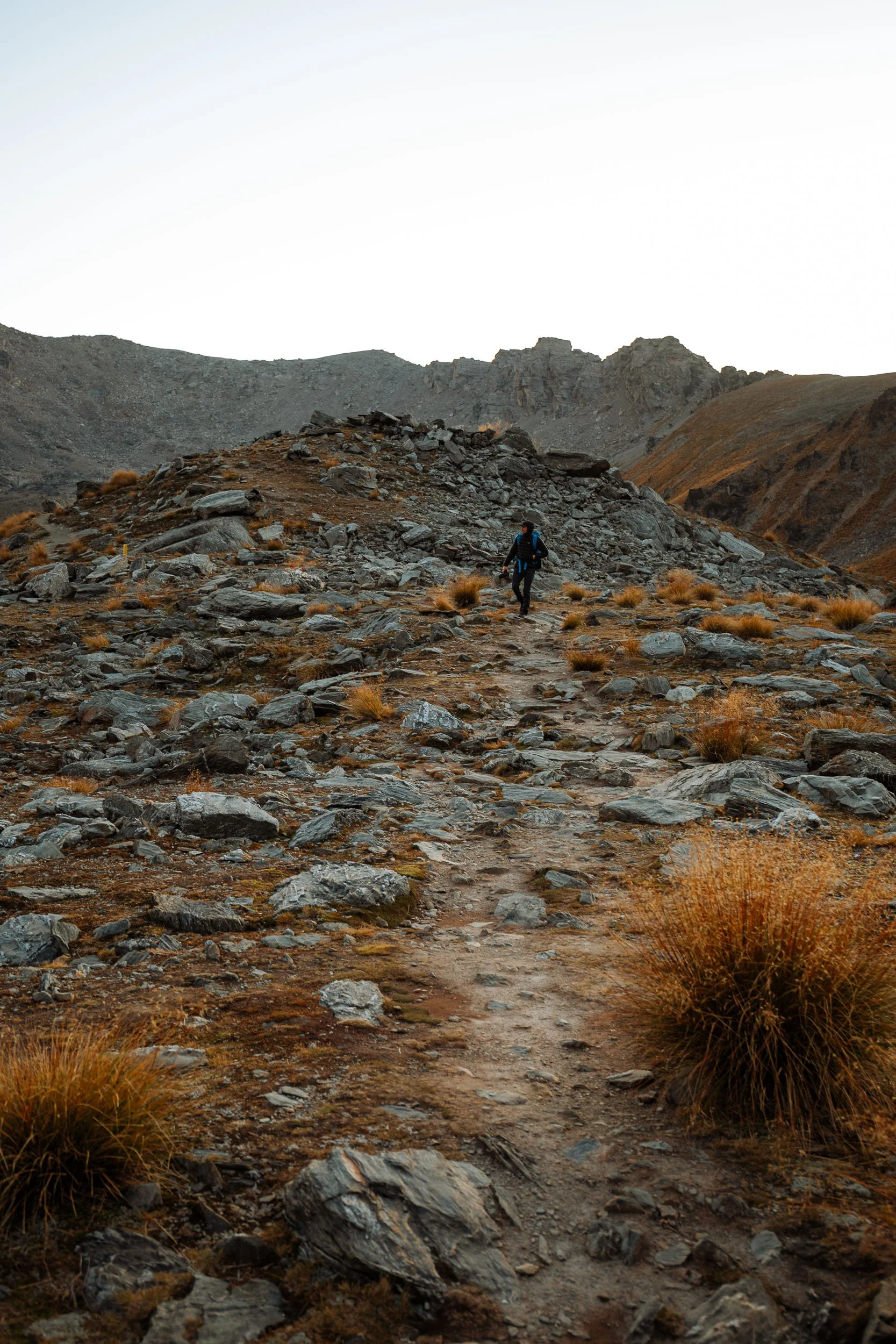 GIBBINS_0508-23.jpg