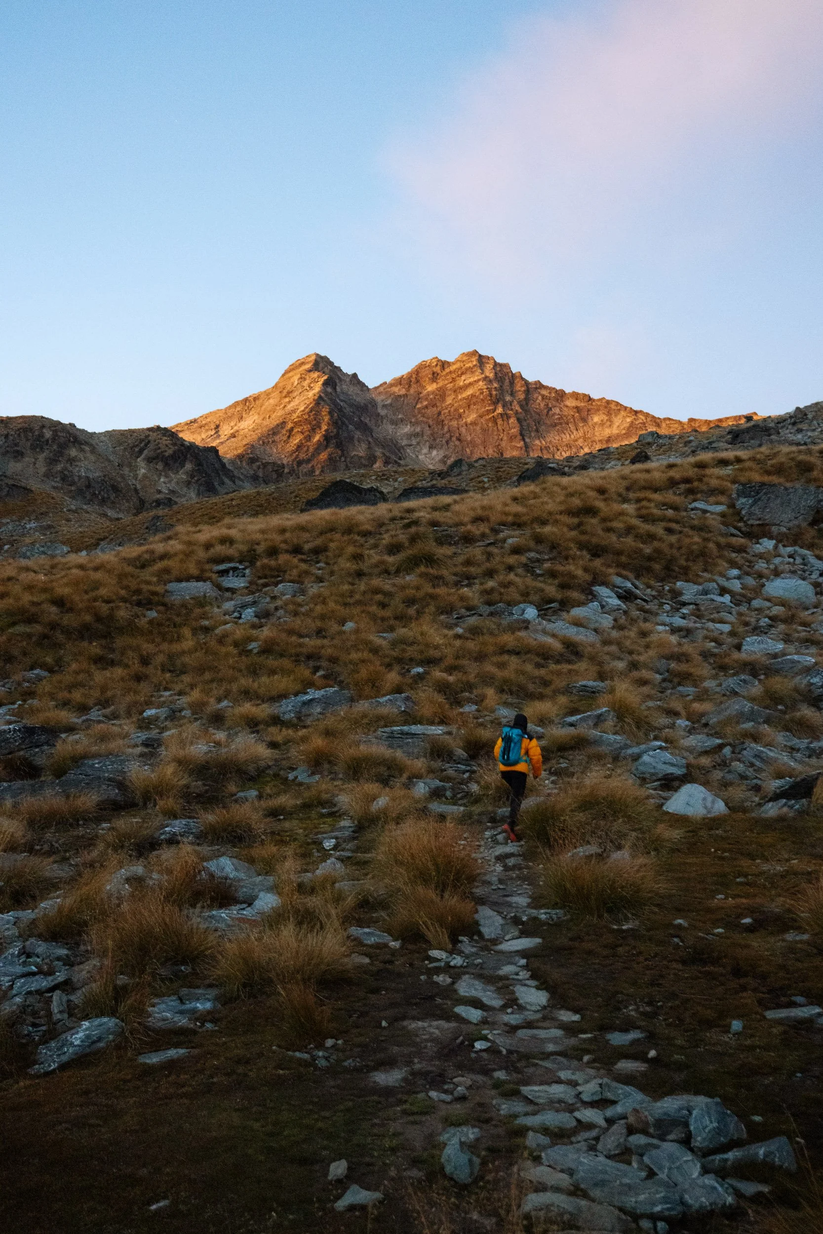 GIBBINS_3658-23.jpg