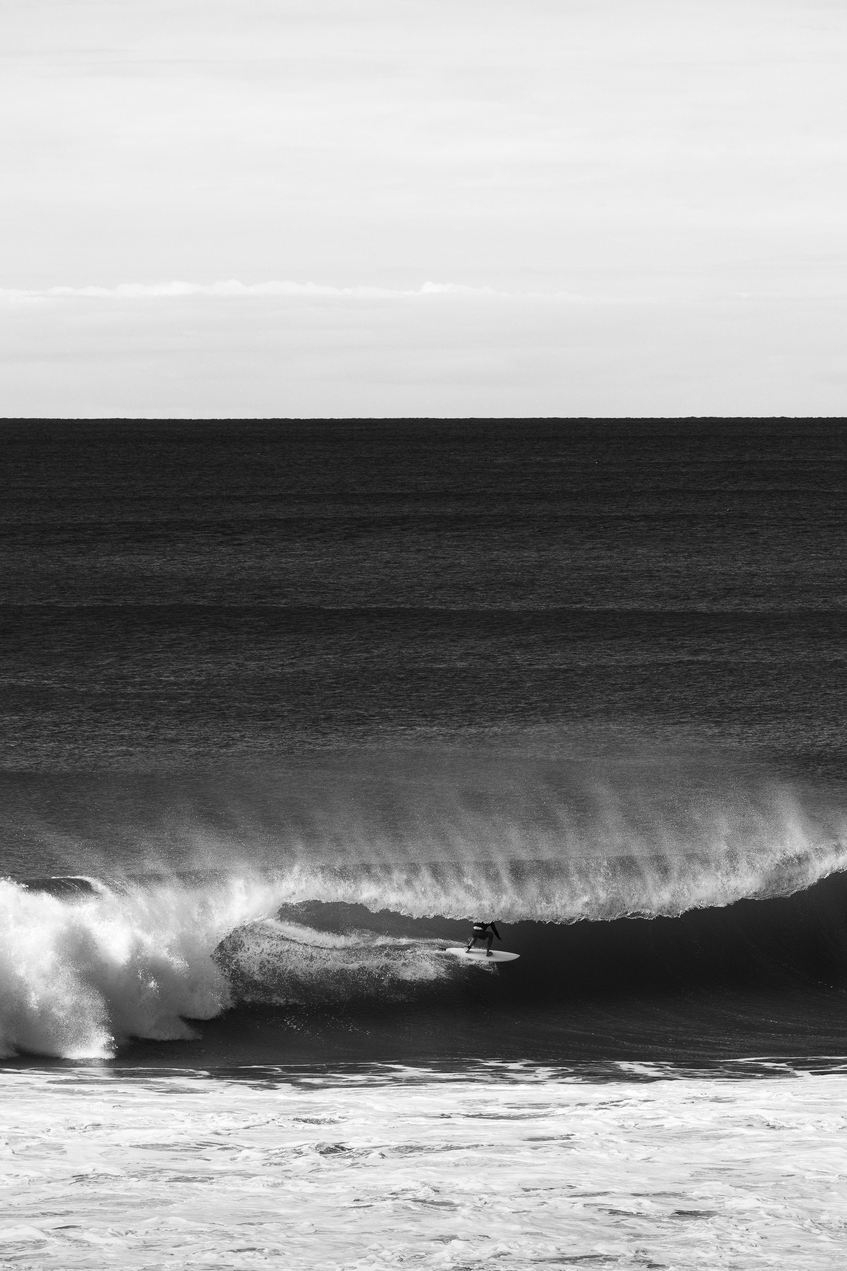 richgibbins__RG_5448_2023.jpg