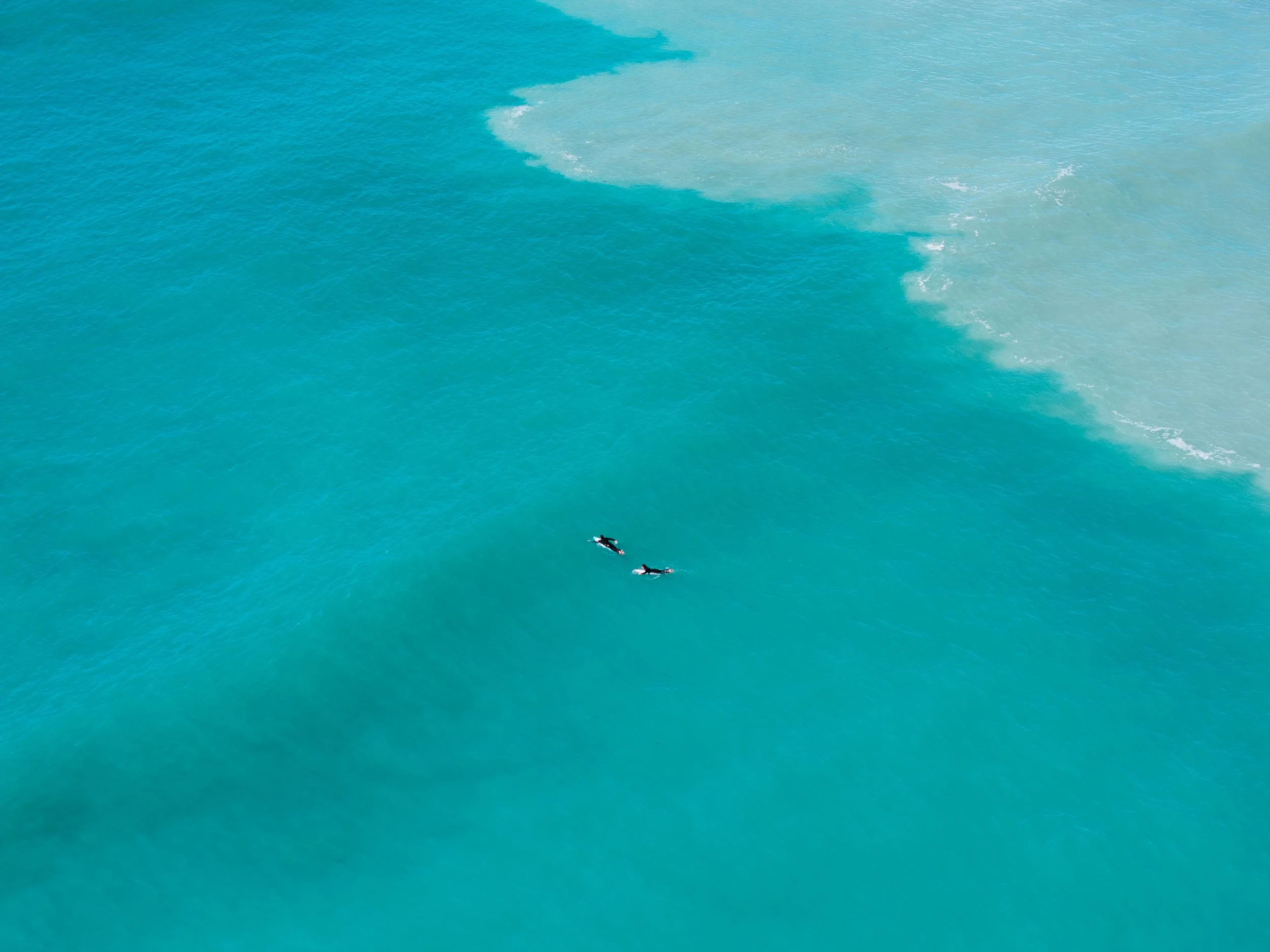GIBBINS_DJI-Kaikoura Coast-241024-138.jpg