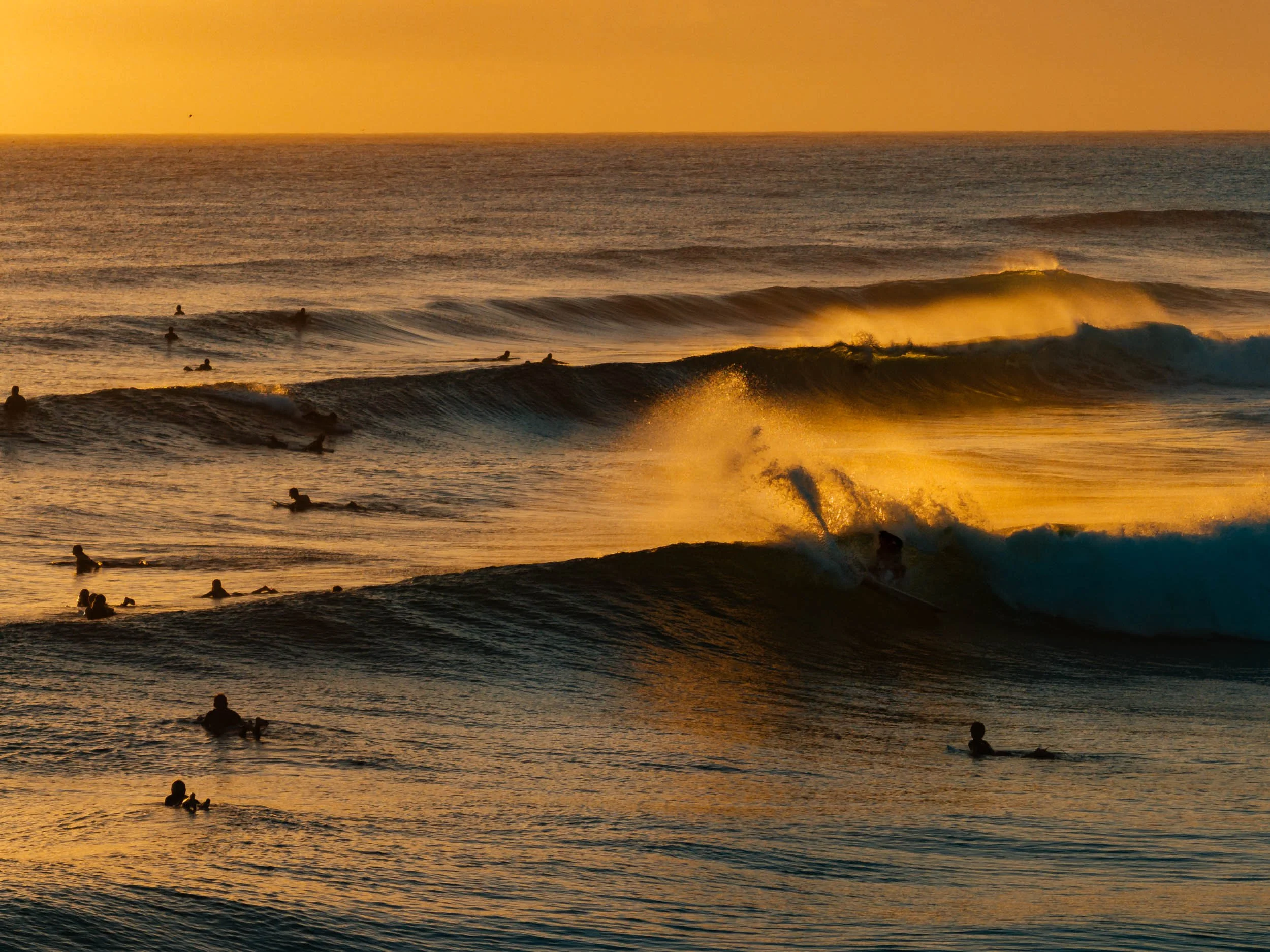 GIBBINS_140224-24-2.jpg