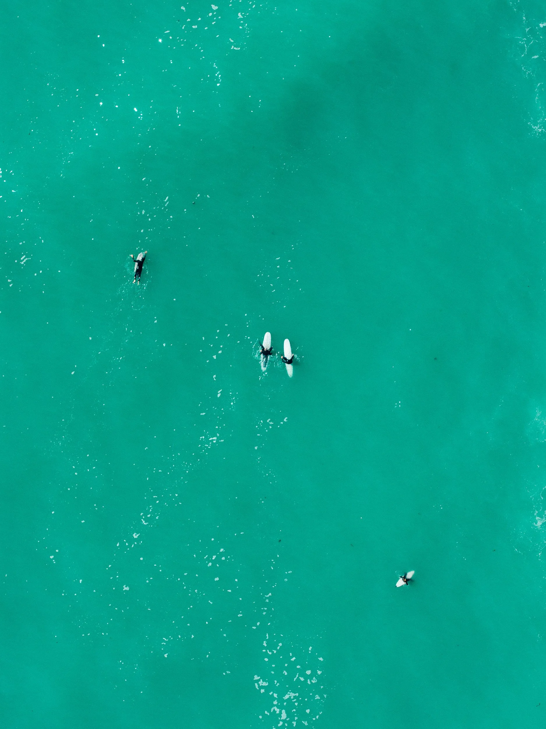 GIBBINS_DJI-Kaikoura Coast-241024-51.jpg