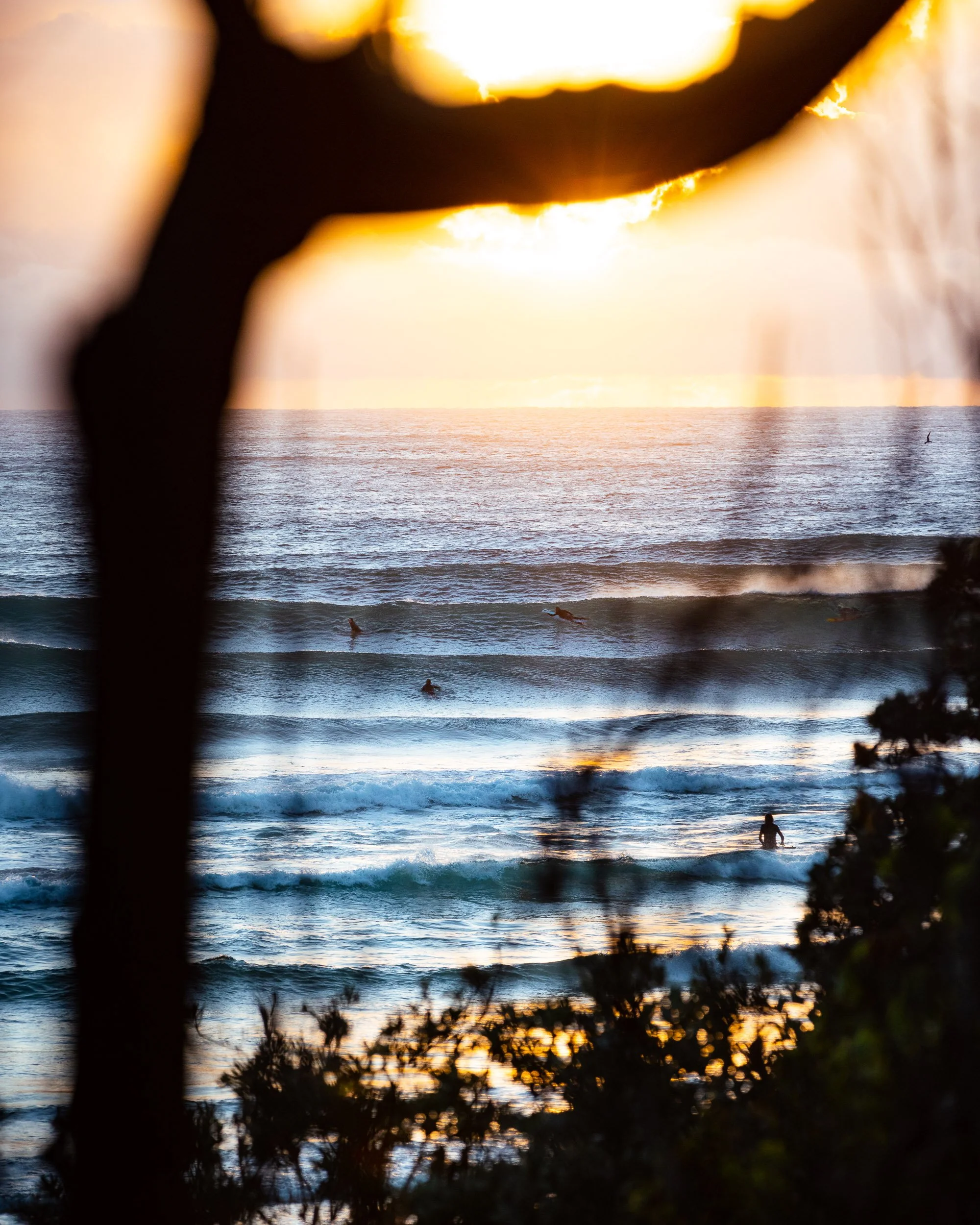 richgibbins__RG_8152_2021.jpg