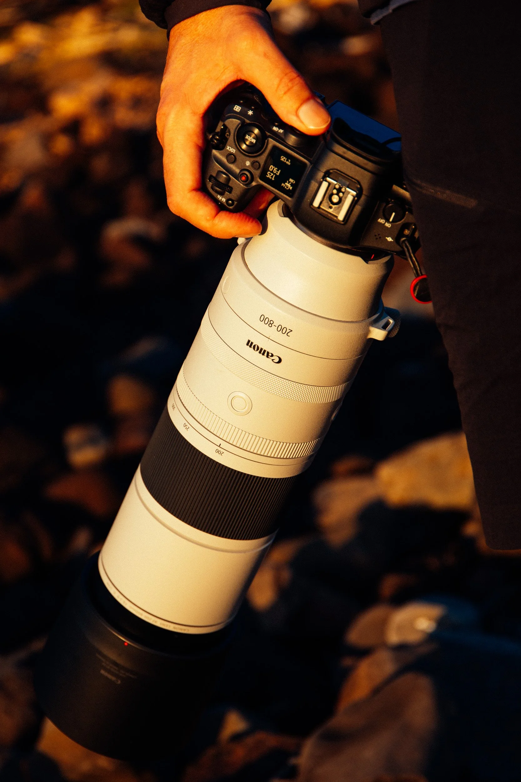 Fig. 2 — Canon RF200-800mm fresh in hand.