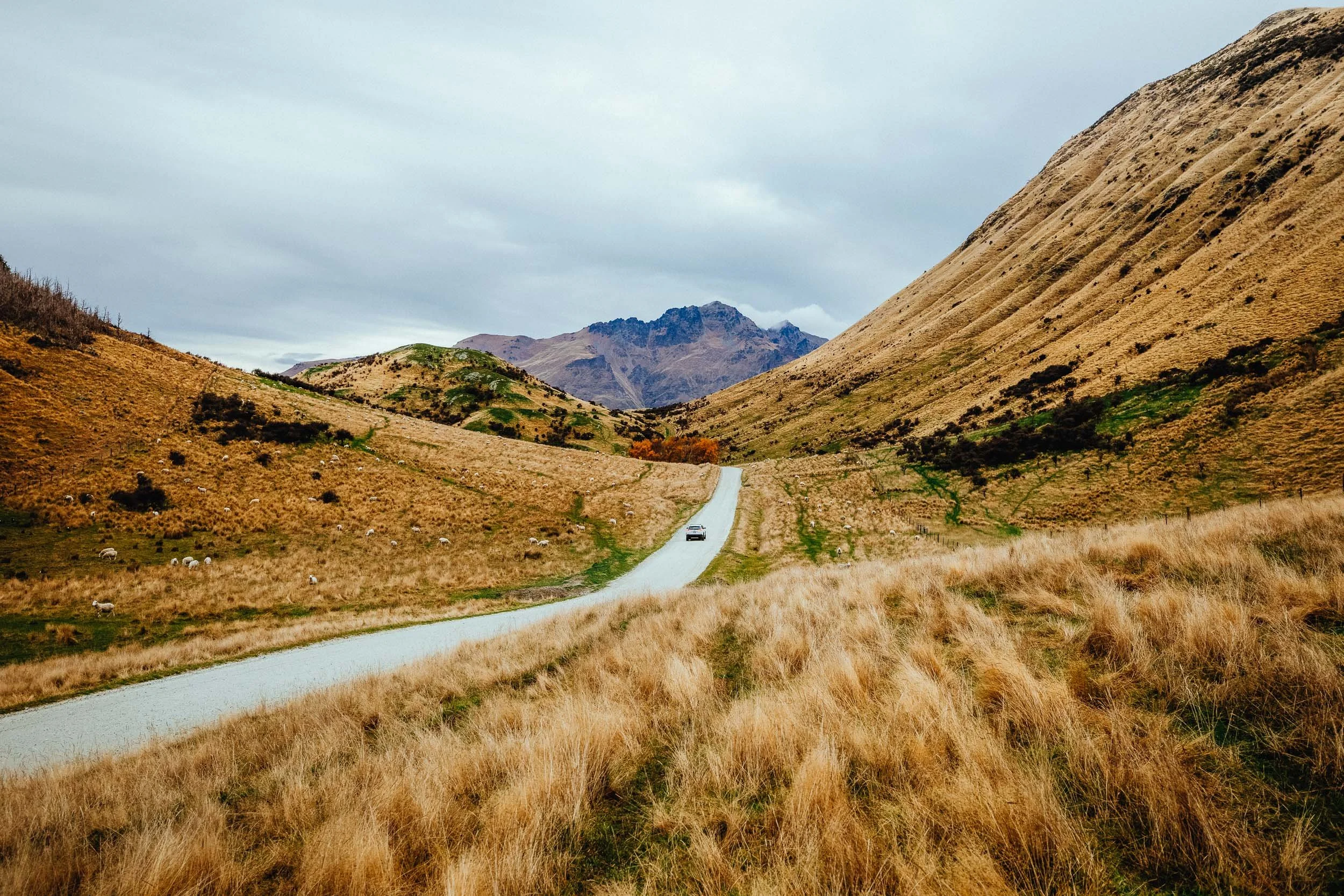 GIBBINS__RG_5744-Edit.jpg