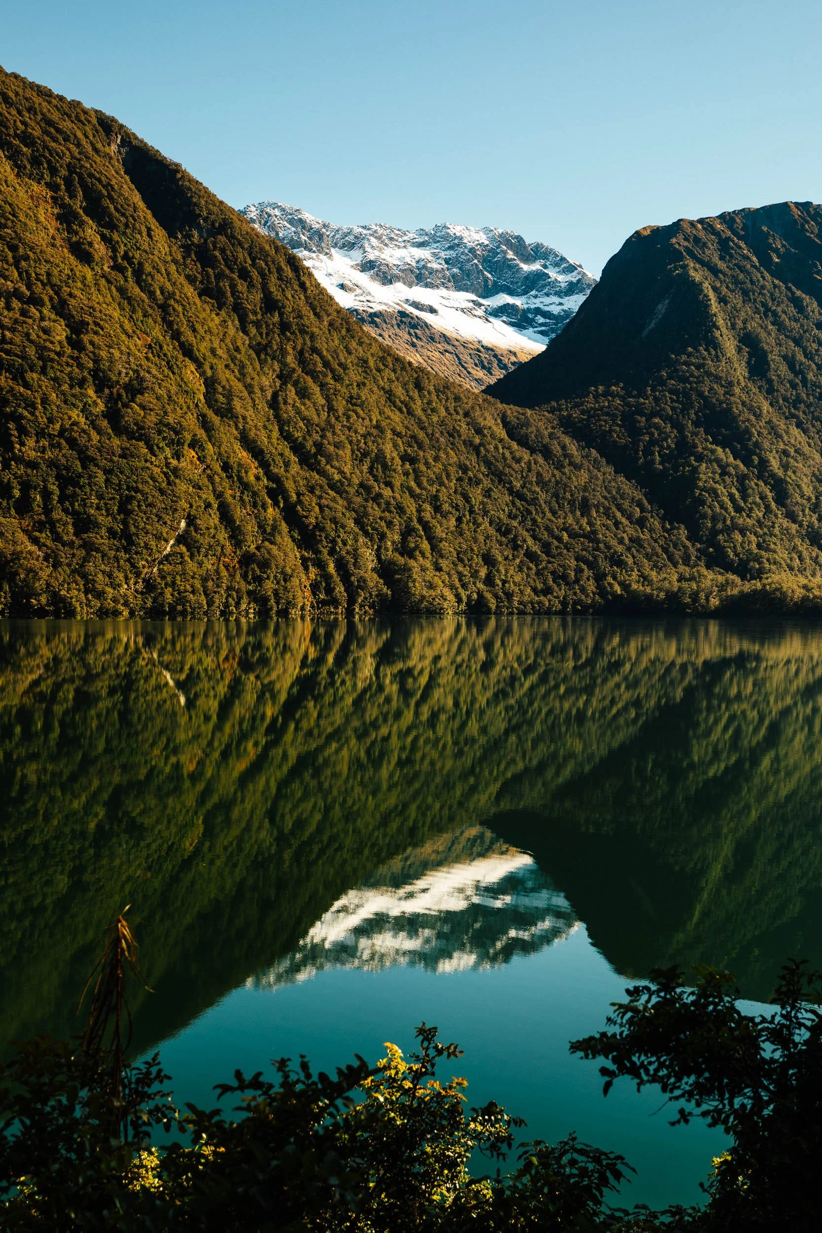GIBBINS__RG_9828.jpg