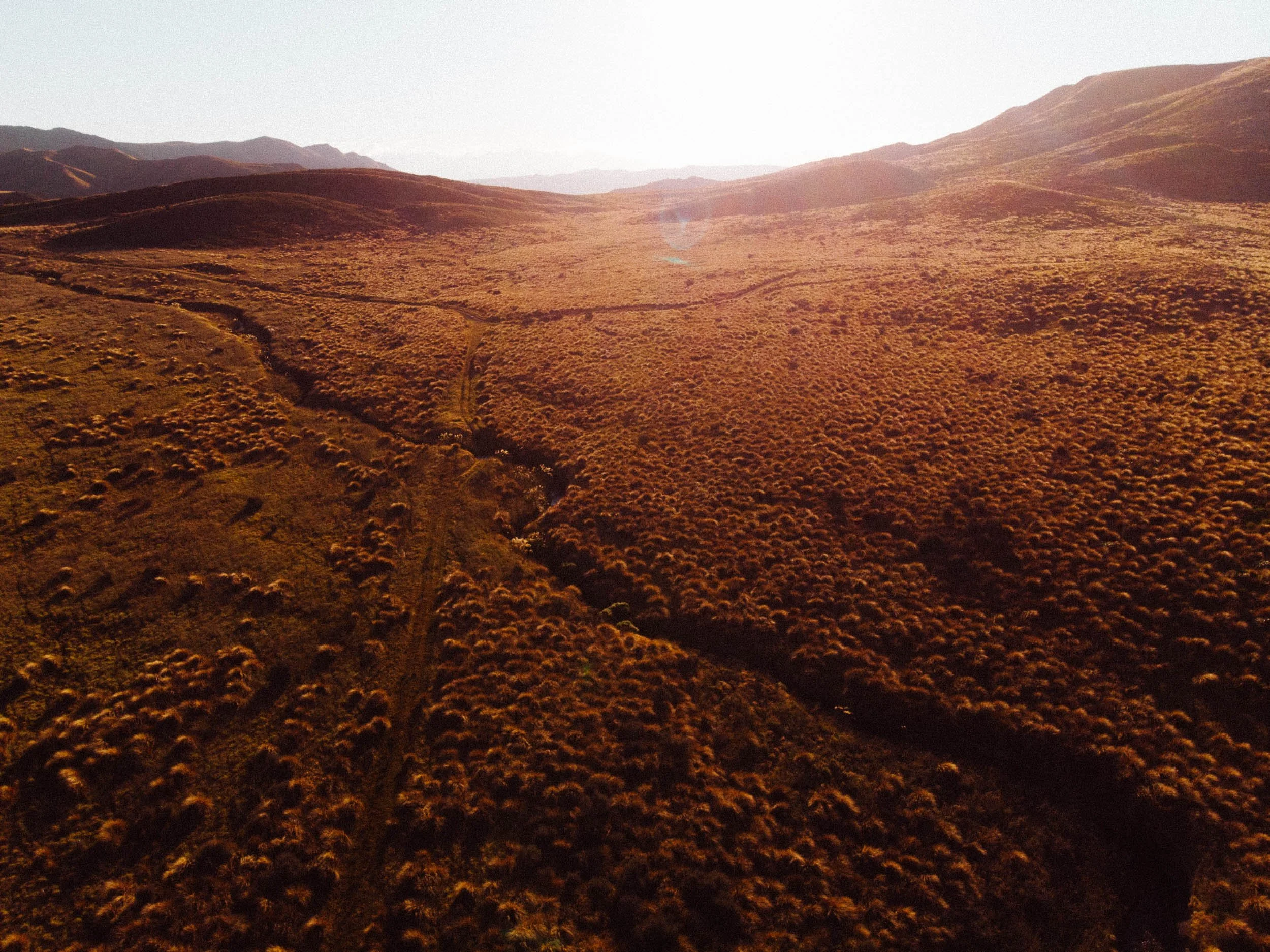 GIBBINS_DJI_0755.jpg