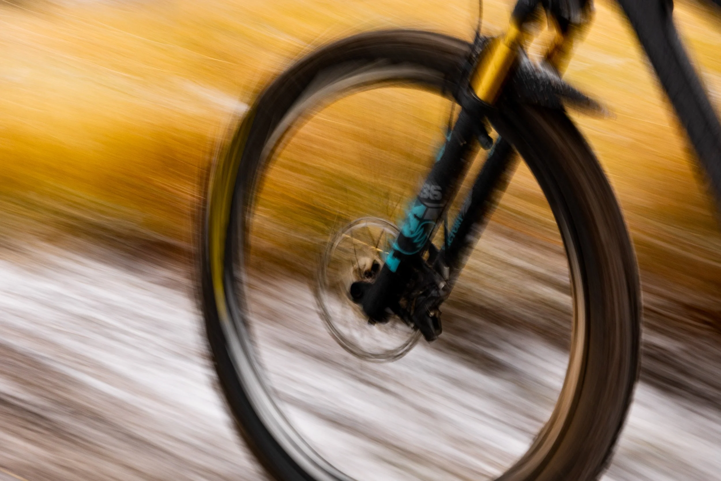 RG_LM Adventurist__RG_1808_2023.jpg
