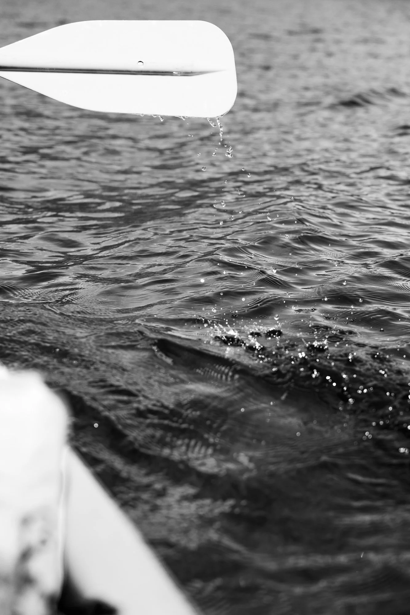 RG_Nelson Lakes Day2_R5_01.01.23_250.jpg