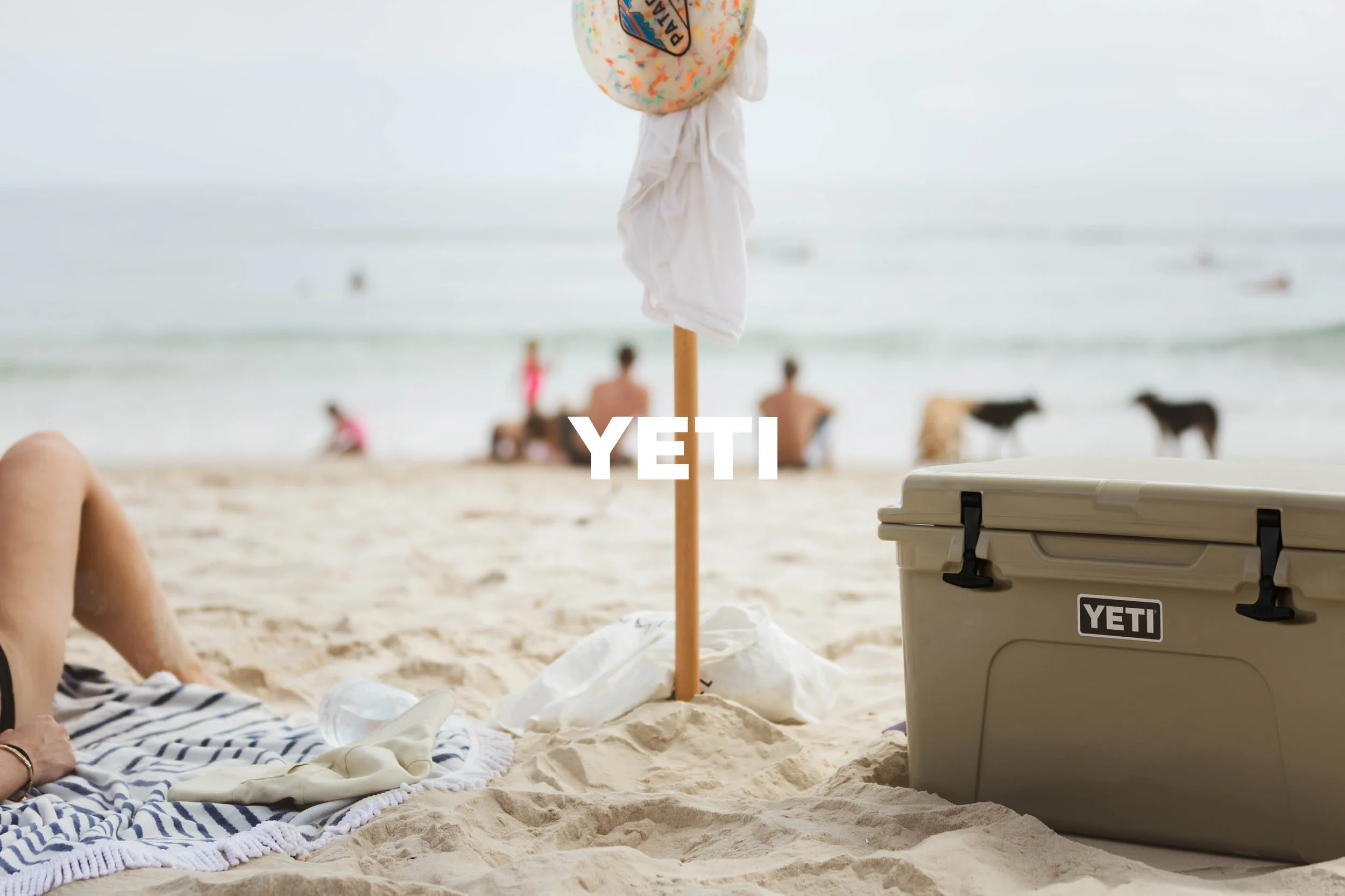 Yeti Australia: 2019