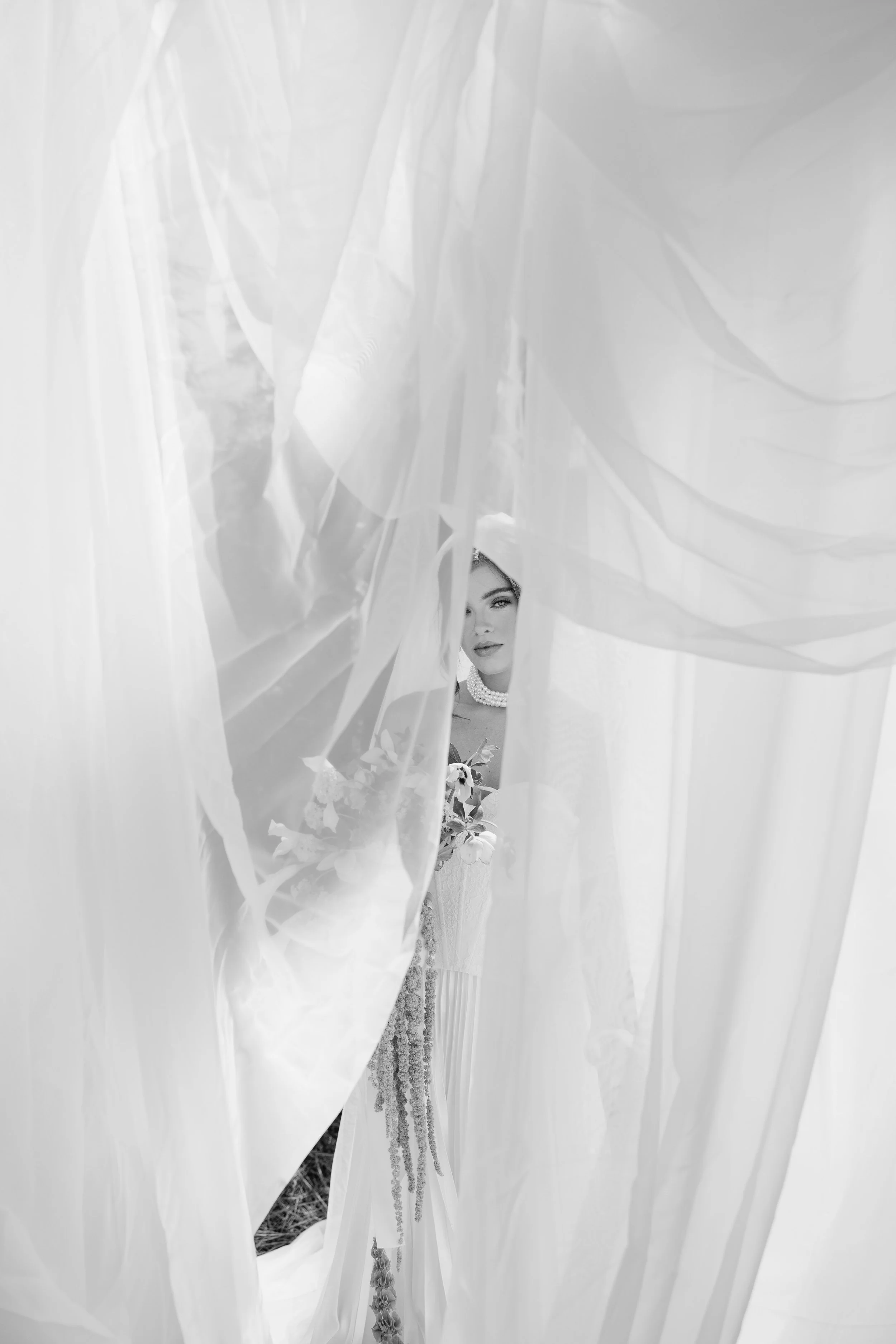 JI7A2967-2.jpg