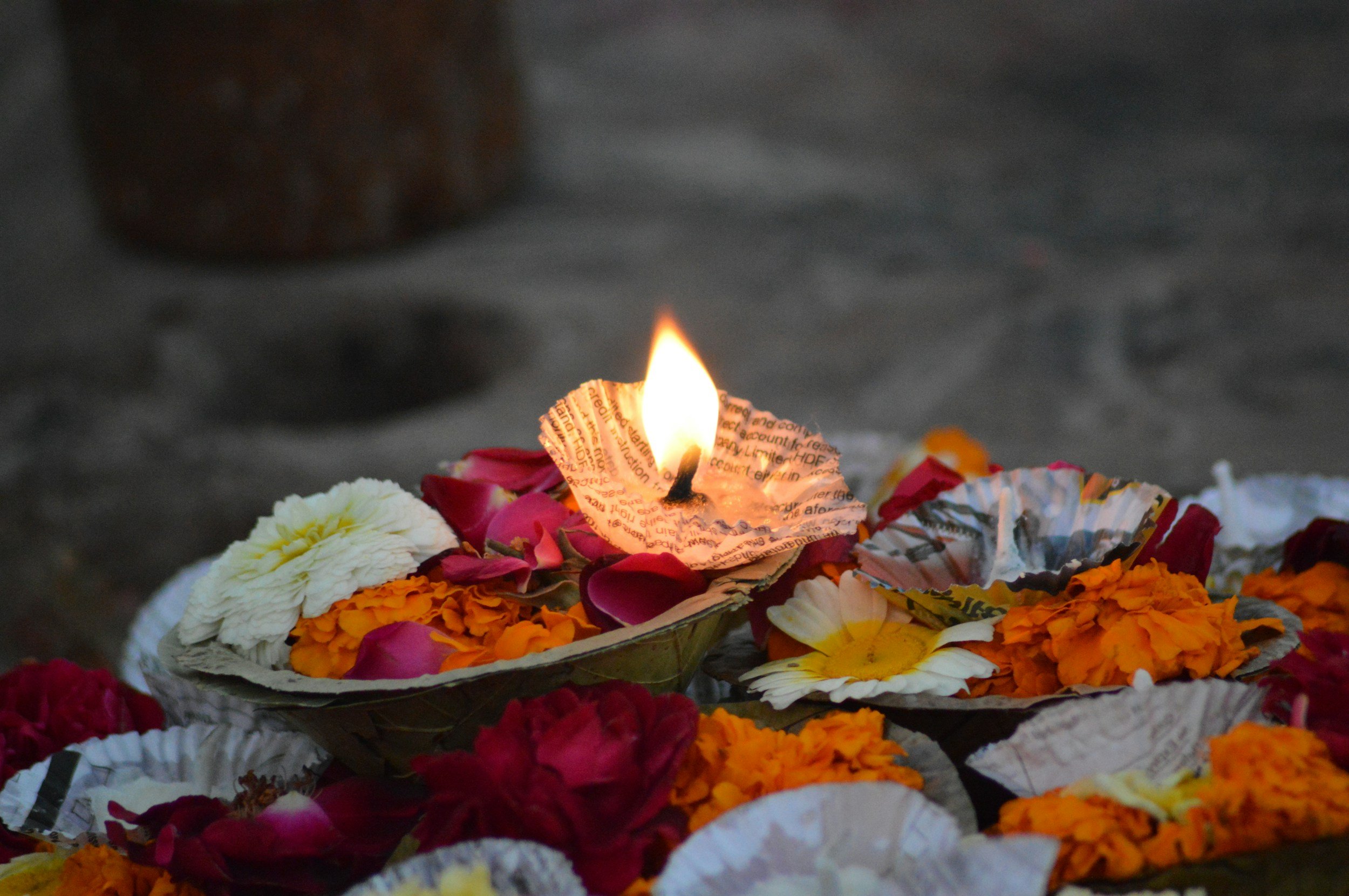 A lit diya candle placed on a pile of flower petals in various colors, used in a ceremonial or religious setting.