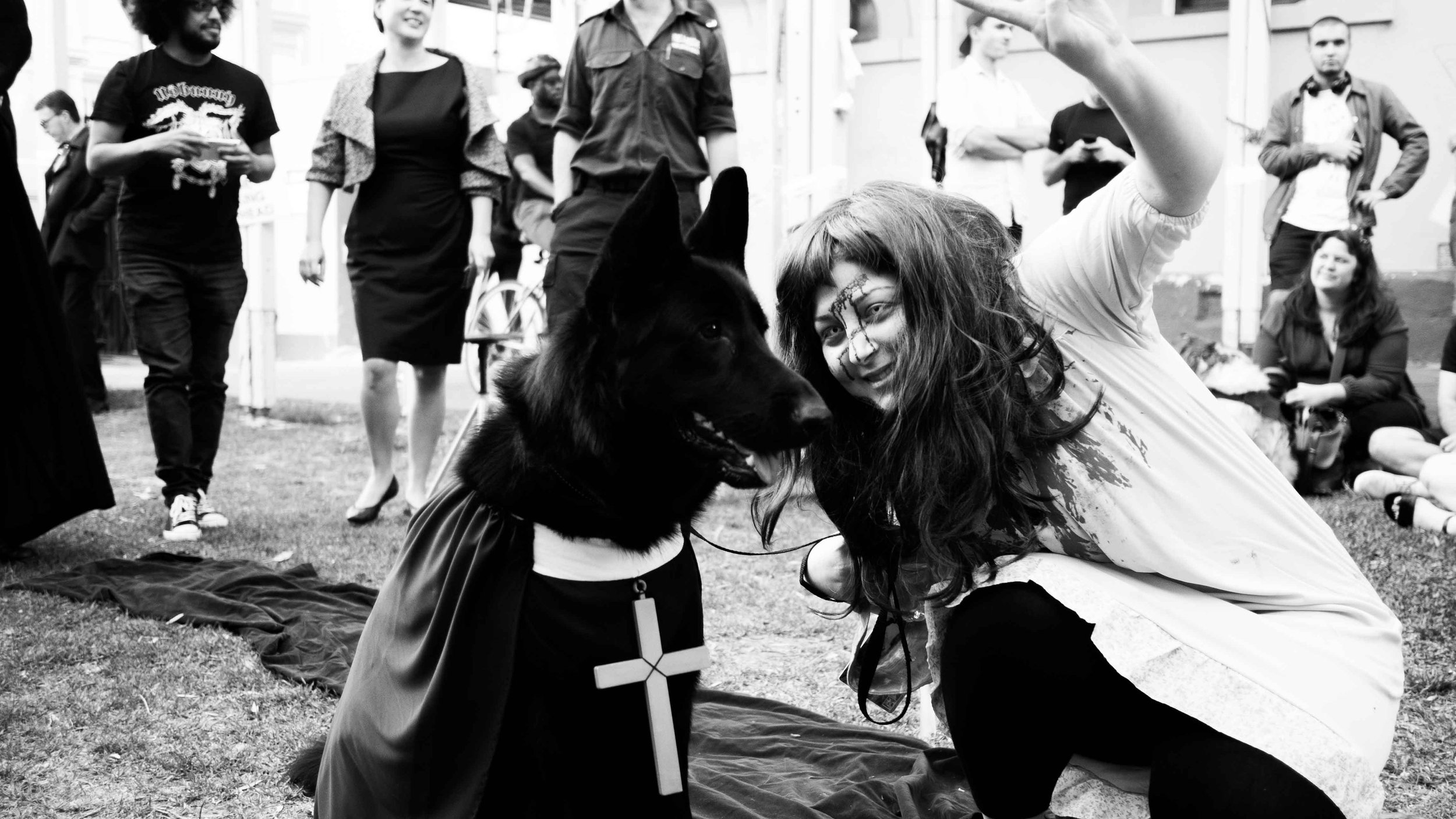 Newtown Dog Show