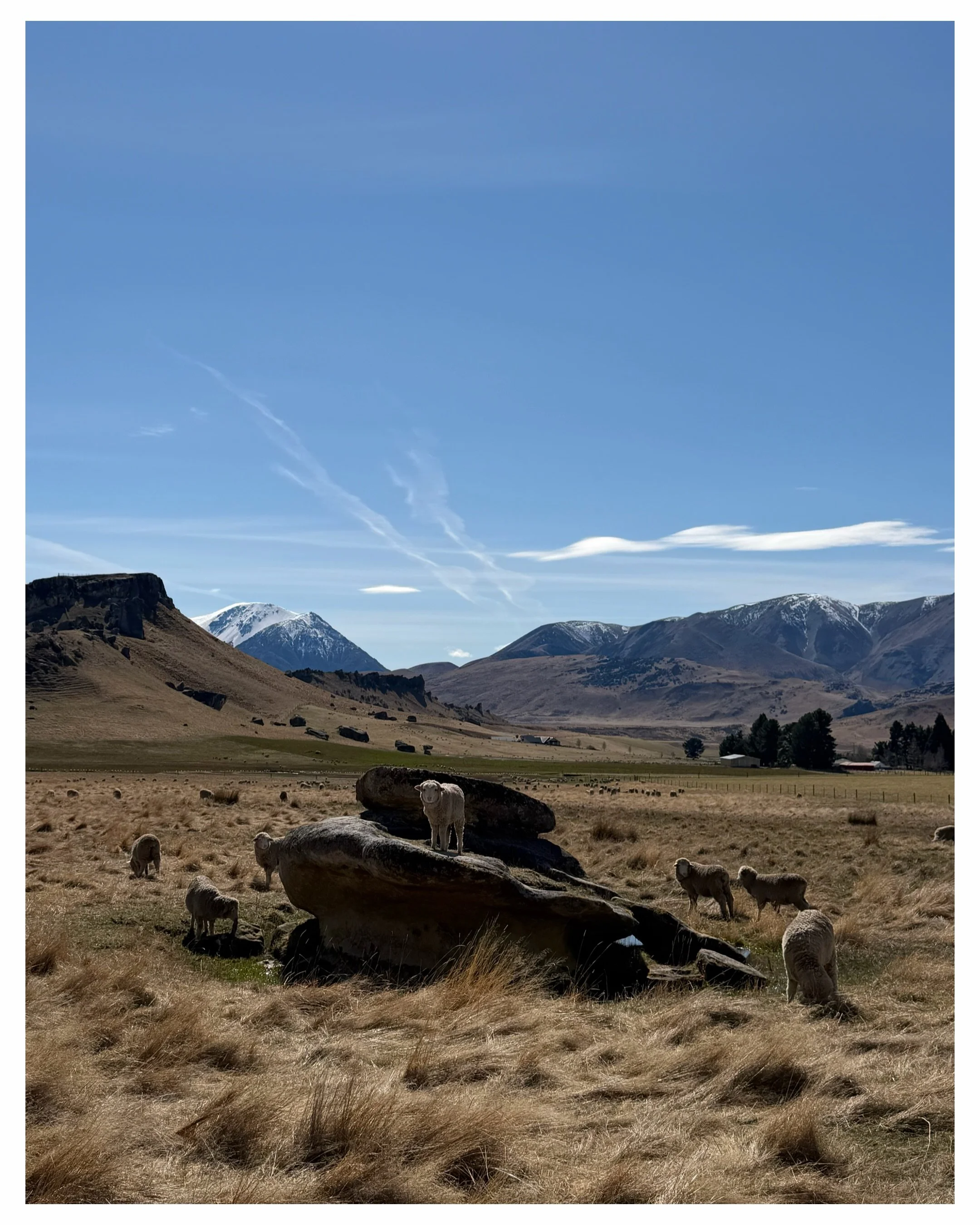 Week 1 snaps straight from the Sony 📸 South Island isn&rsquo;t disappointing 🤩.