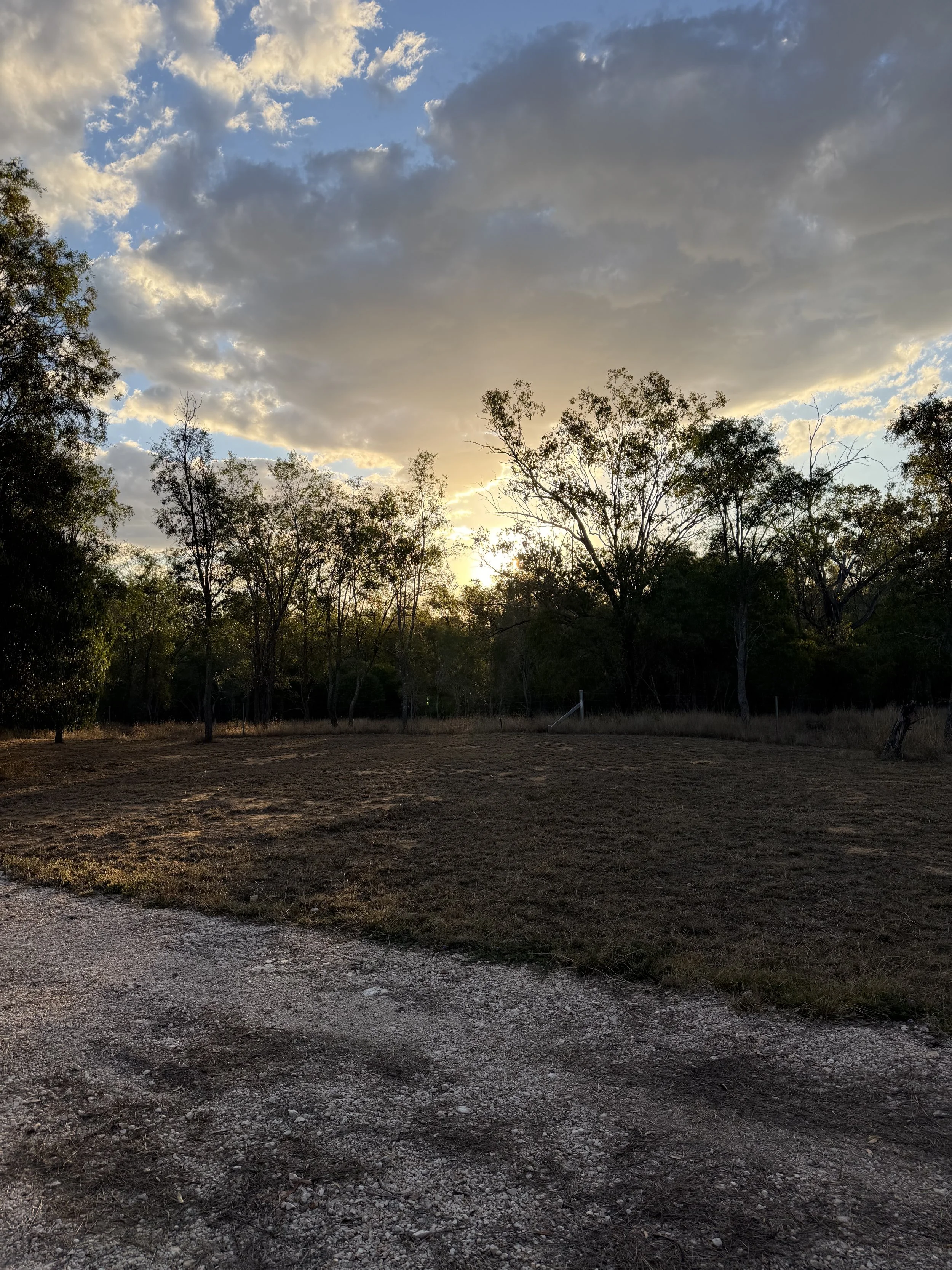 A landscape scene at sunset with a dirt road in the foreground, a line of trees in the middle ground, and a partly cloudy sky with the sun setting behind the trees.