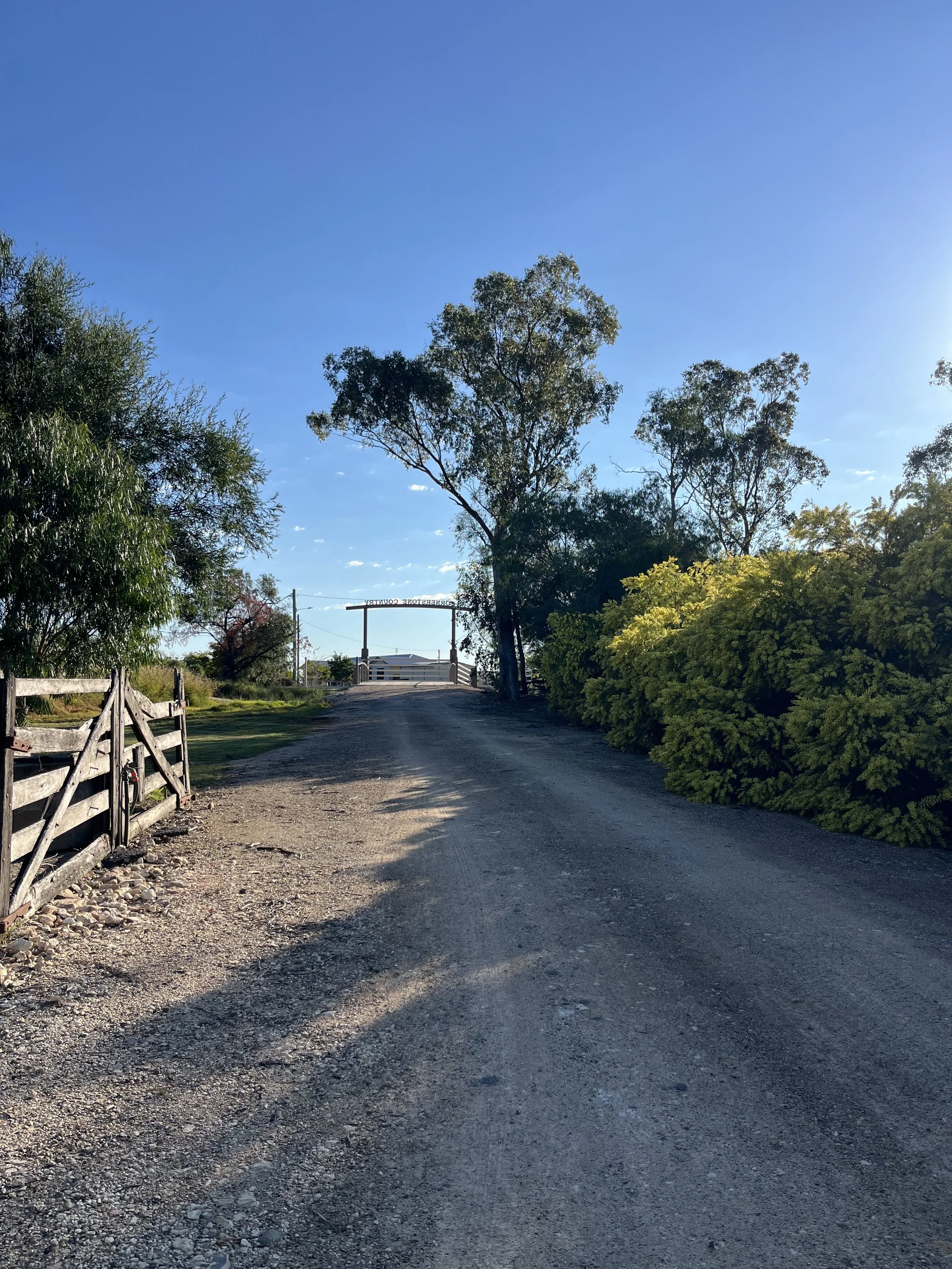 A dirt road with trees and bushes on both sides, blue sky overhead, and a bridge or archway in the distance.