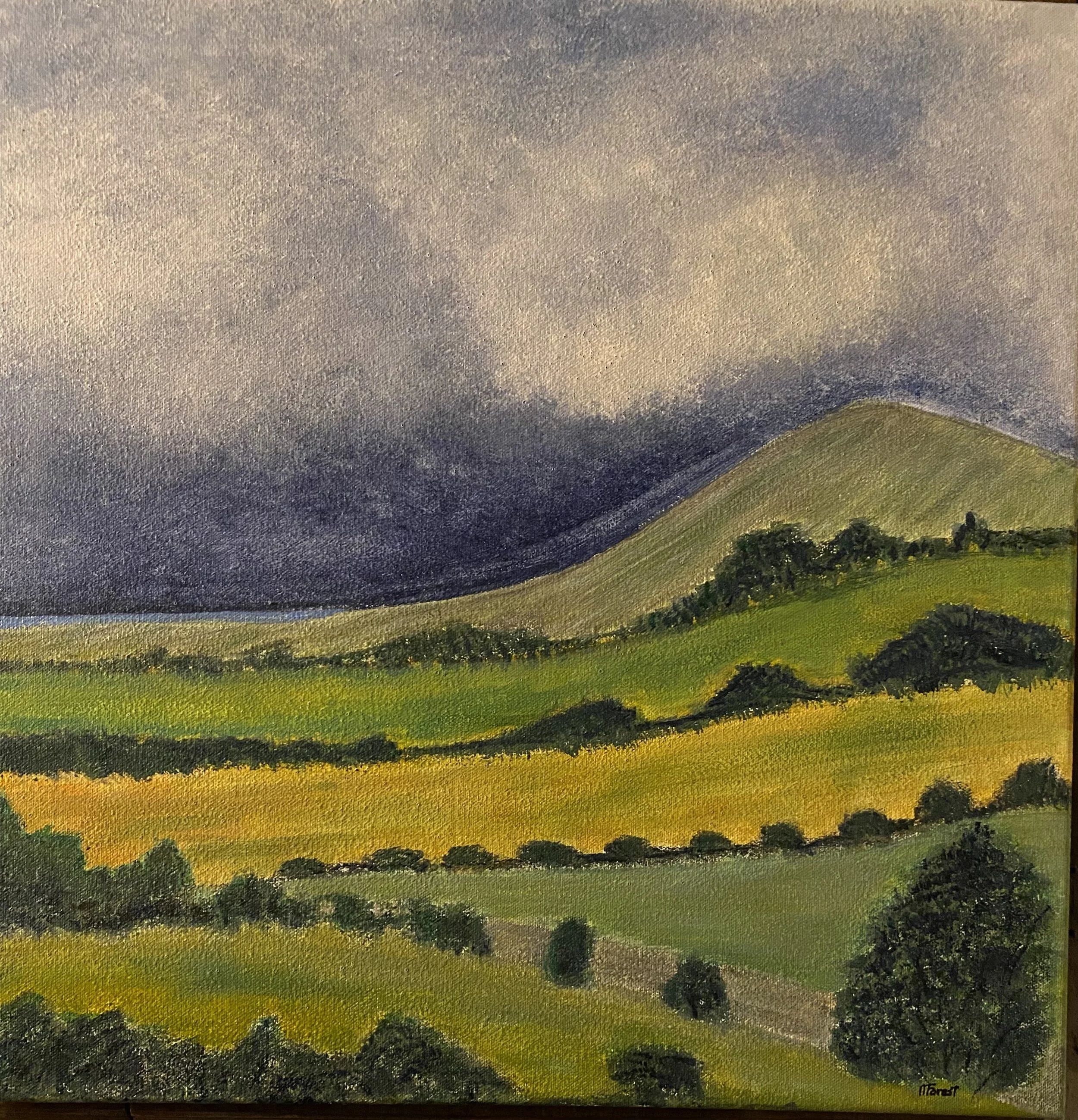 Acrylic on canvas   20" x 20"