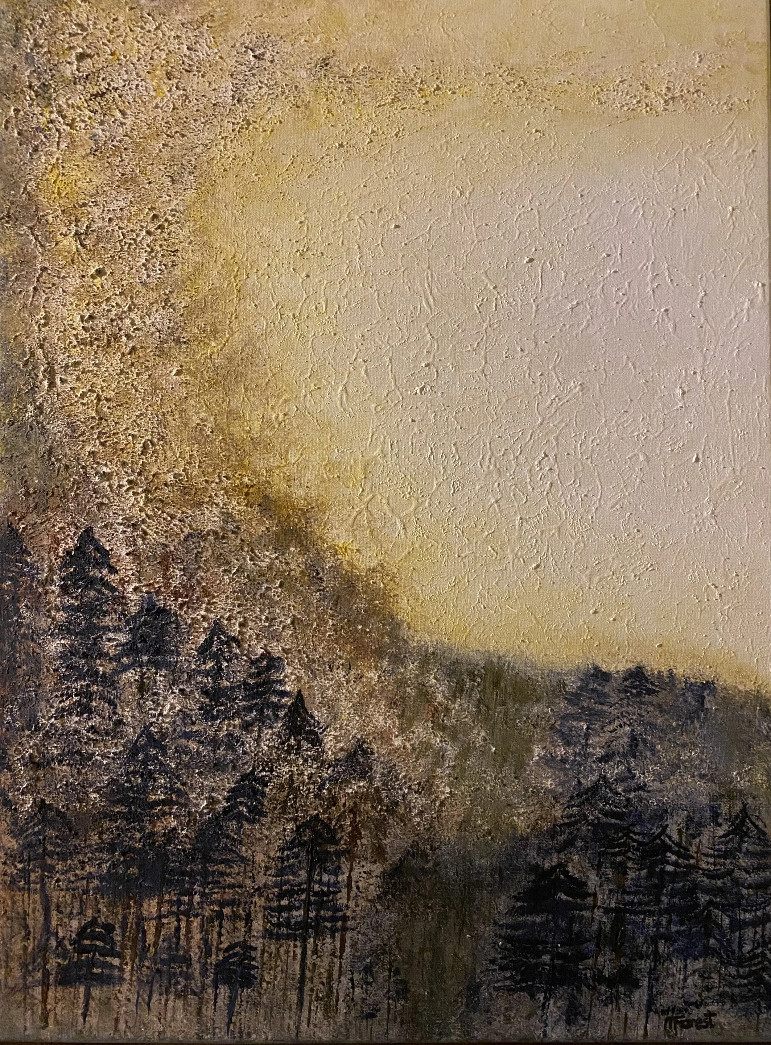Acrylic on textured canvas   18" x 24"
