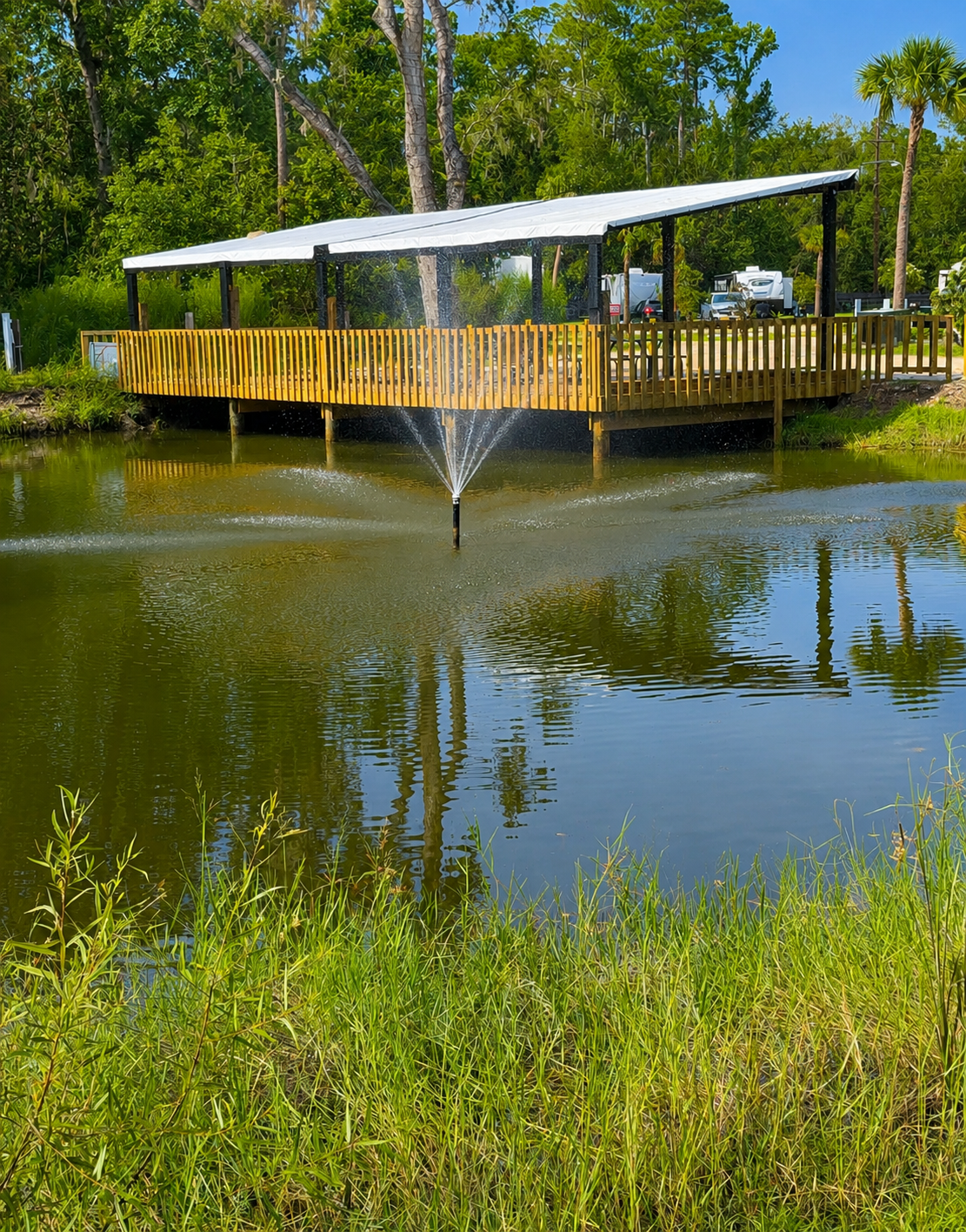 A wooden pier with a white canopy extending over it, built over a pond with a fountain spraying water, surrounded by green trees and grasses.